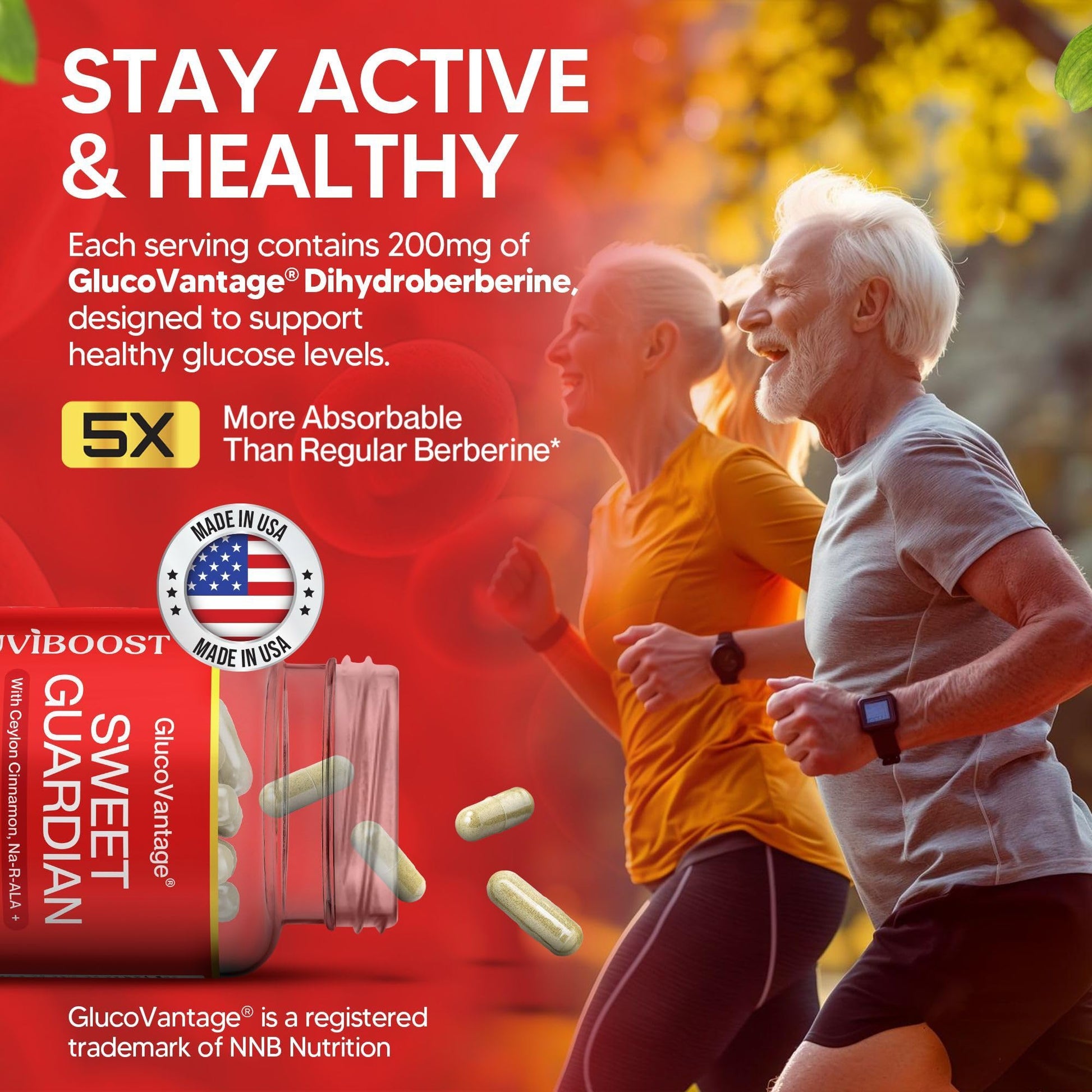 NUVIBOOST Super Dihydroberberine (GlucoVantage®) 200mg with Ceylon Cinnamon, Alpha Lipoic Acid, Selenium, Gymnema Sylvestre, Benfotiamine and Others for Overall Immunity. NUVIBOOST Au supplements