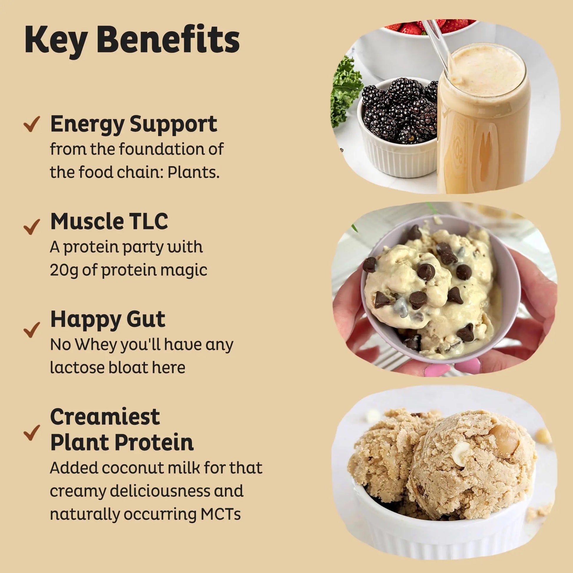 KOS Vegan Protein Powder Erythritol Free, Vanilla USDA Organic - Pea Protein Blend, Plant Based Superfood Rich in Vitamins & Minerals - Keto, Dairy Free - Meal Replacement for Women & Men, 28 Servings KOS Au supplements