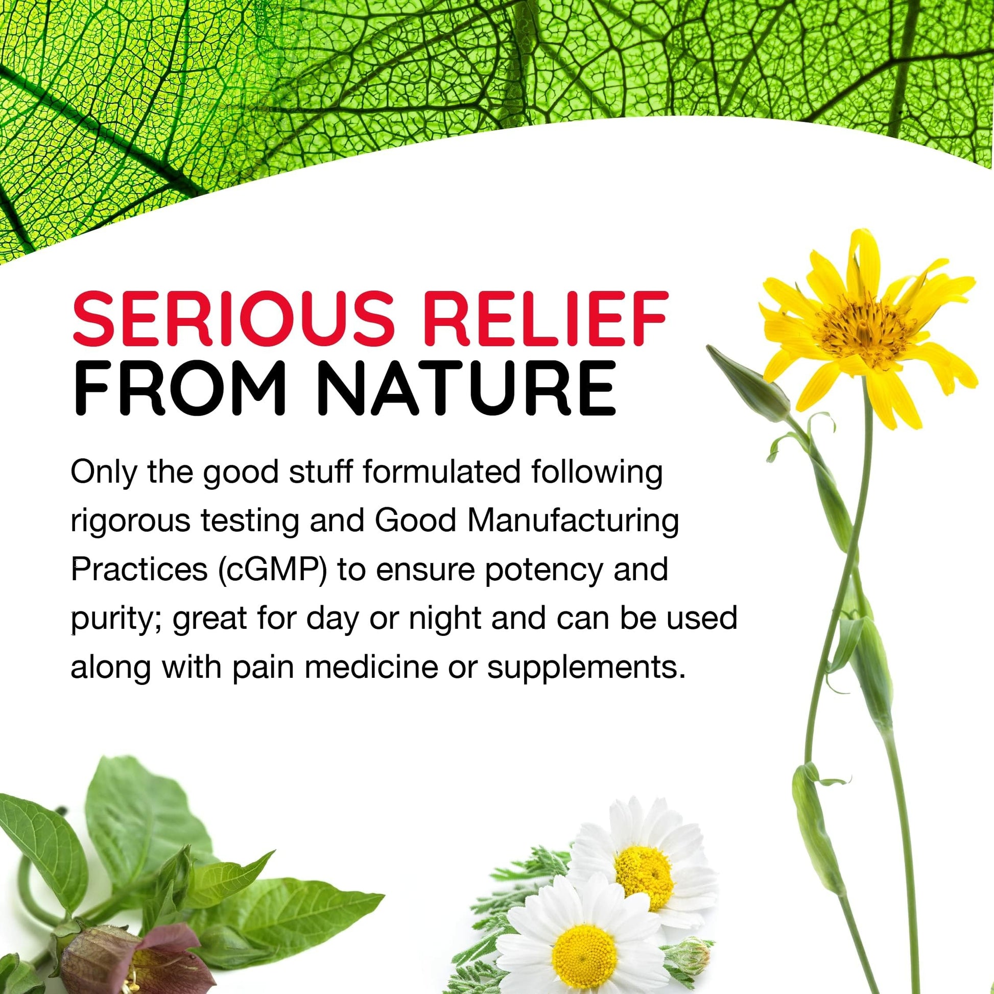 MediNatura T-Relief Pain - Arnica Medication for Naturally Soothing Body Aches - Supports Muscle, Joint & Back Relief - Chewable Tablets - Plant-Based Tablets - Non-Addictive - 100 Count - 2 Pack MediNatura Au supplements