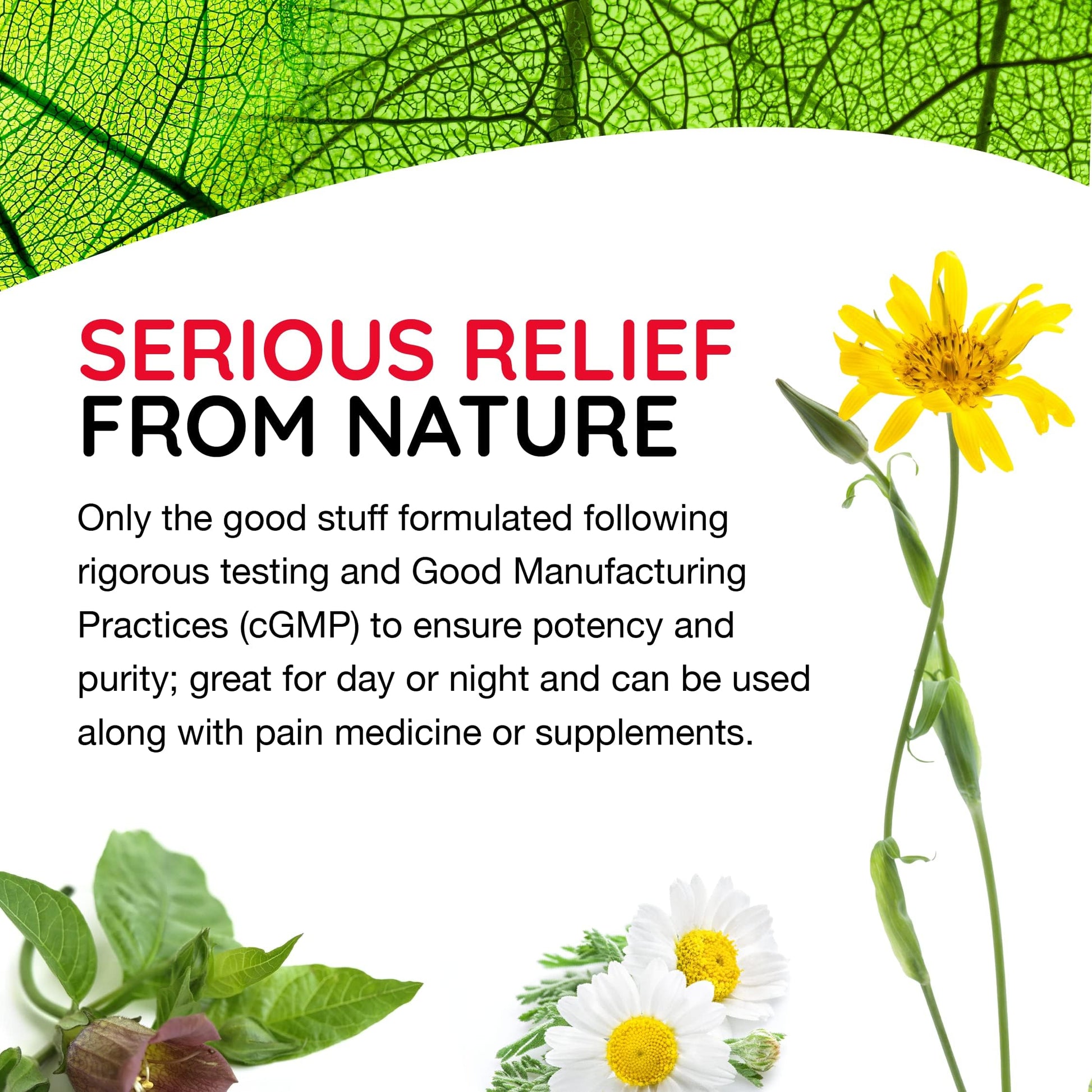 MediNatura T-Relief Extra Strength Discomfort Relief Gel-Extra-Strength Arnica Gel for Fast-Acting Relief-Supports Mobility & Body Aches-Homeopathic & Plant-Based-Paraben-Free-Non-Sticky - 2 oz MediNatura Au supplements