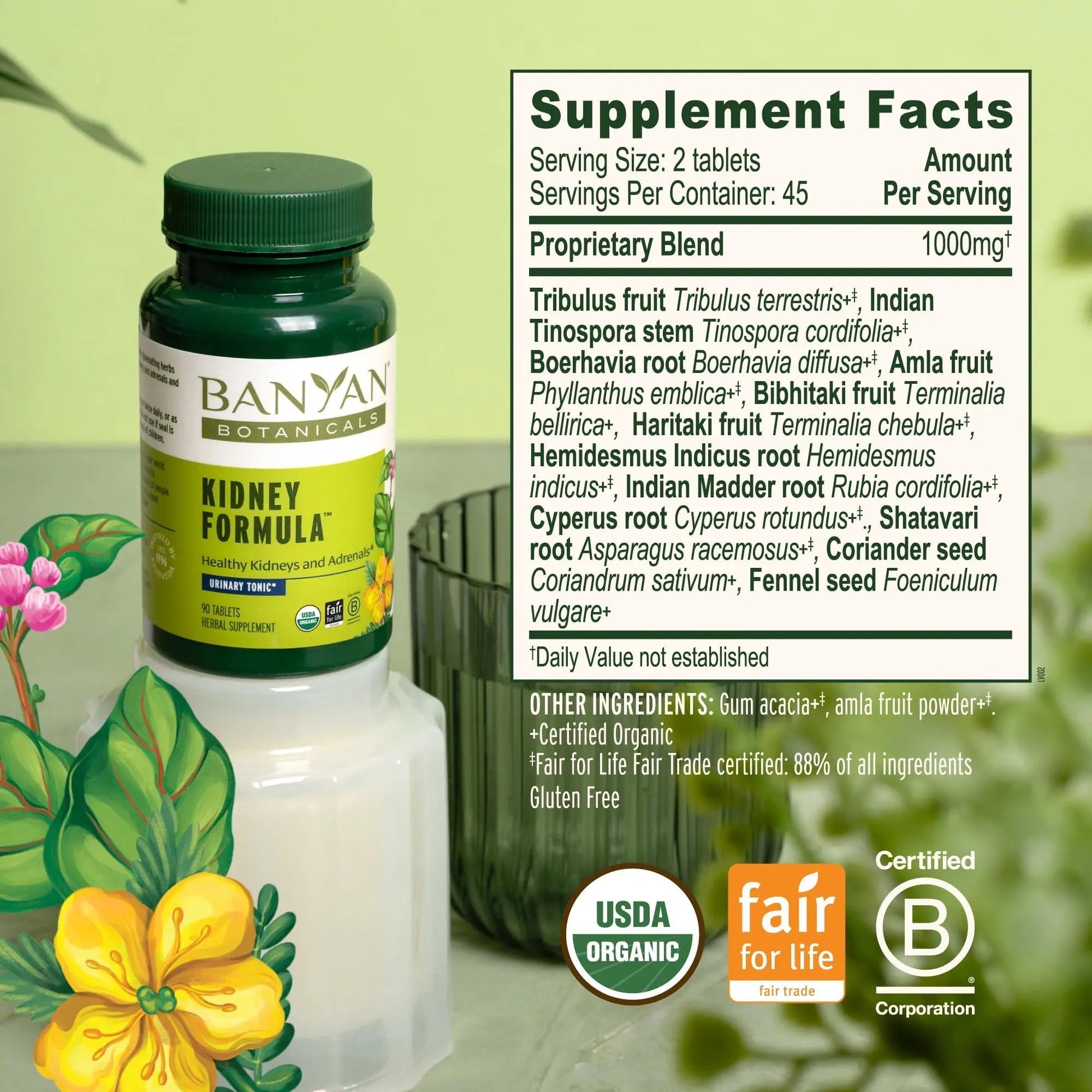 Banyan Botanicals Organic Kidney Formula–Urinary Tract Support & Detox Supplement–Gokshura & Punarnava for Fluid Balance & Systemic Cleansing–Cooling Genitourinary Tonic-90 Tablets-USDA Organic Banyan Botanicals Au supplements