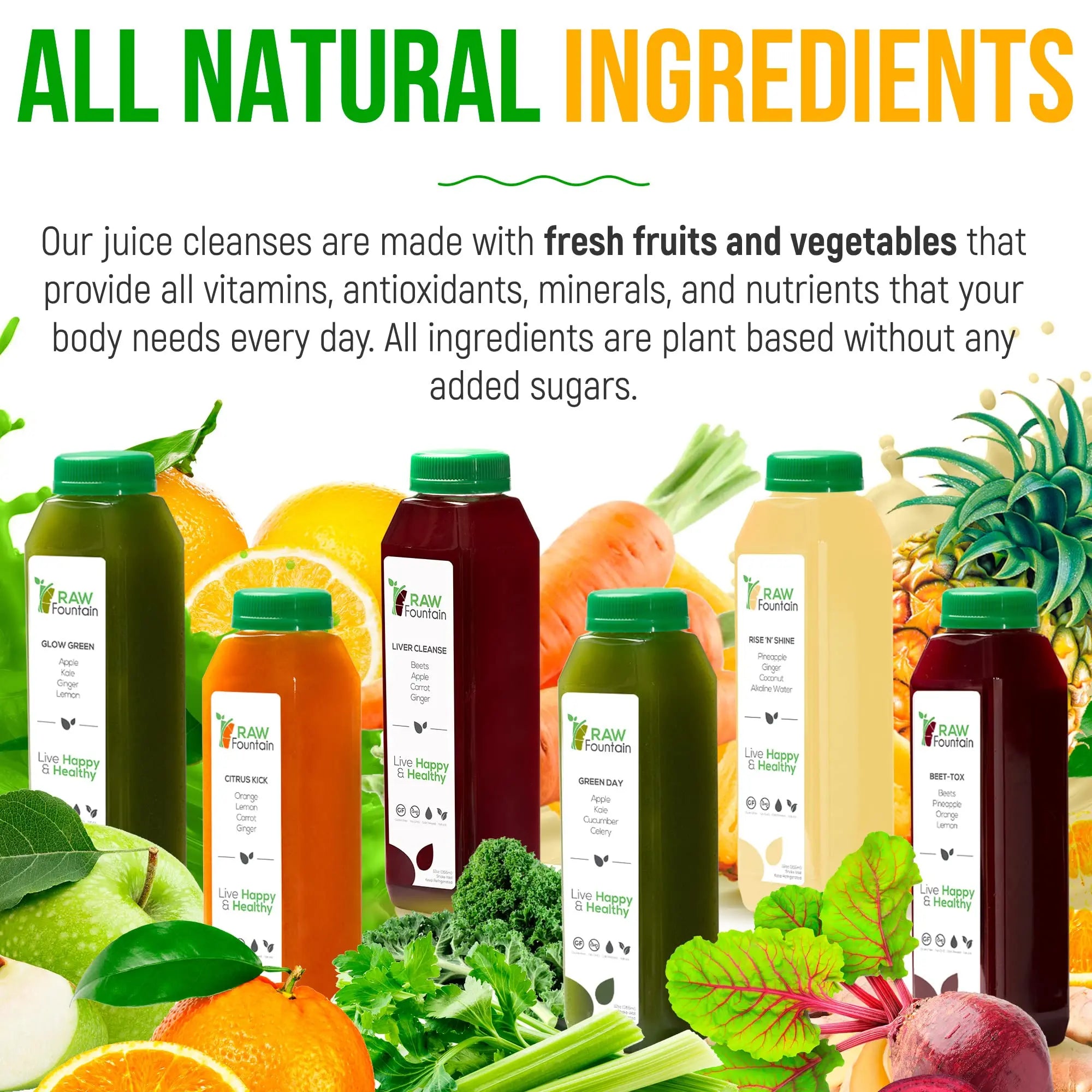 Raw Fountain 1 Day Juice Cleanse, All Natural Detox Cleanse, Cold Presssed Fruit Raw Fountain Au supplements