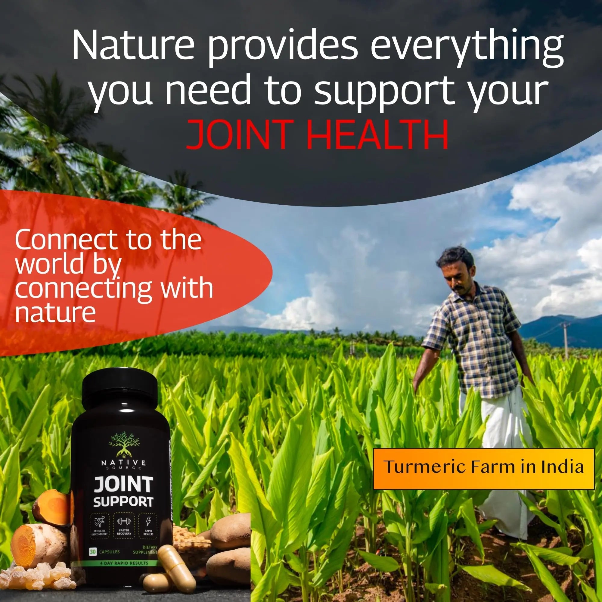 Native Source Joint Support Supplement - Turmeric - Tamarind - Boswellia - Fenugreek Native Source Au supplements