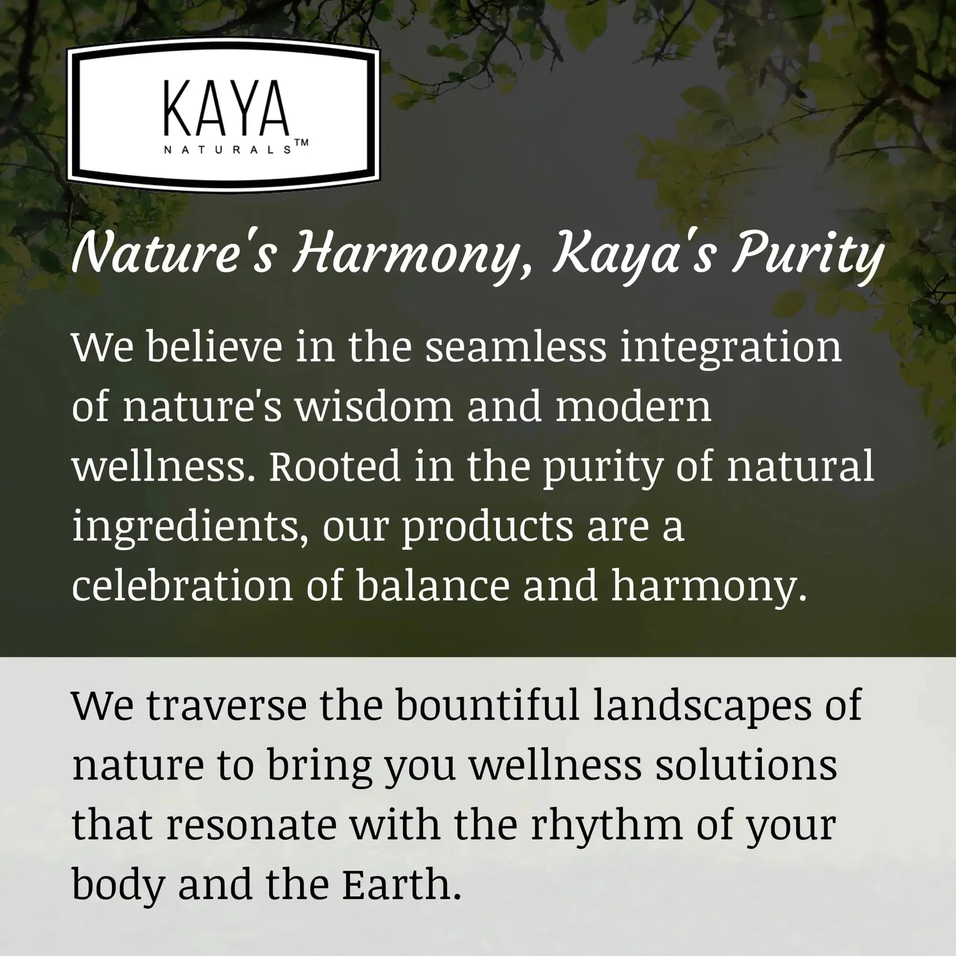 Kaya Naturals Moringa Leaf Extract - Complete Greens Superfood Supplement - Pure Miracle Tree Moringa - Boost Energy Naturally Kaya Naturals Au supplements