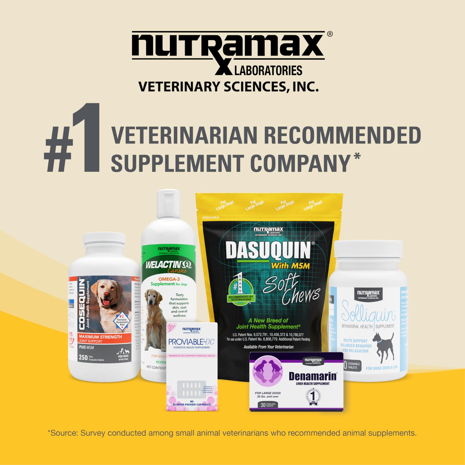 Nutramax Dasuquin for Small to Medium Dogs, Joint Health Supplement, Contains Glucosamine for Dogs, Plus Chondroitin, ASU, MSM and More, Supports Healthy Joints, Chewable Tablets, 84 Count Nutramax Laboratories Au supplements