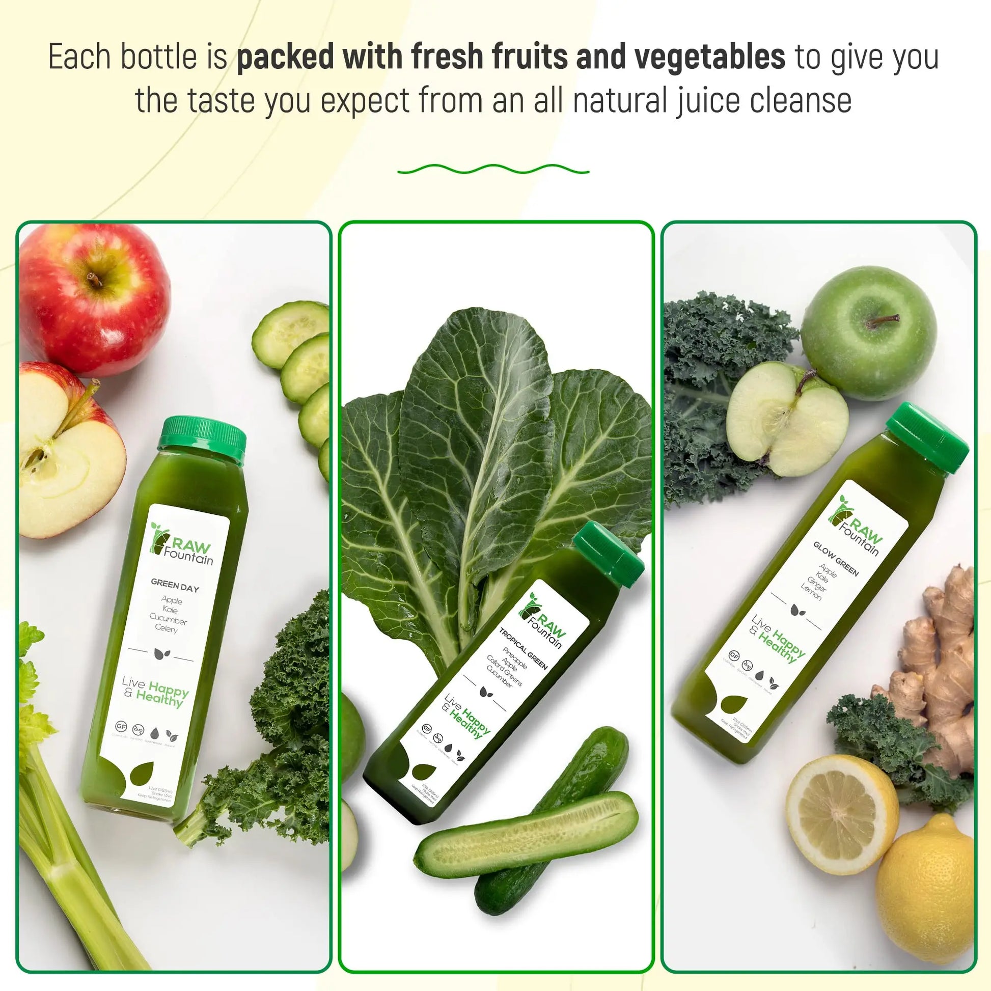 Raw Fountain 5 Day Green Juice Cleanse, All Natural Raw, Vegan Detox, Cold Pressed Raw Fountain Au supplements