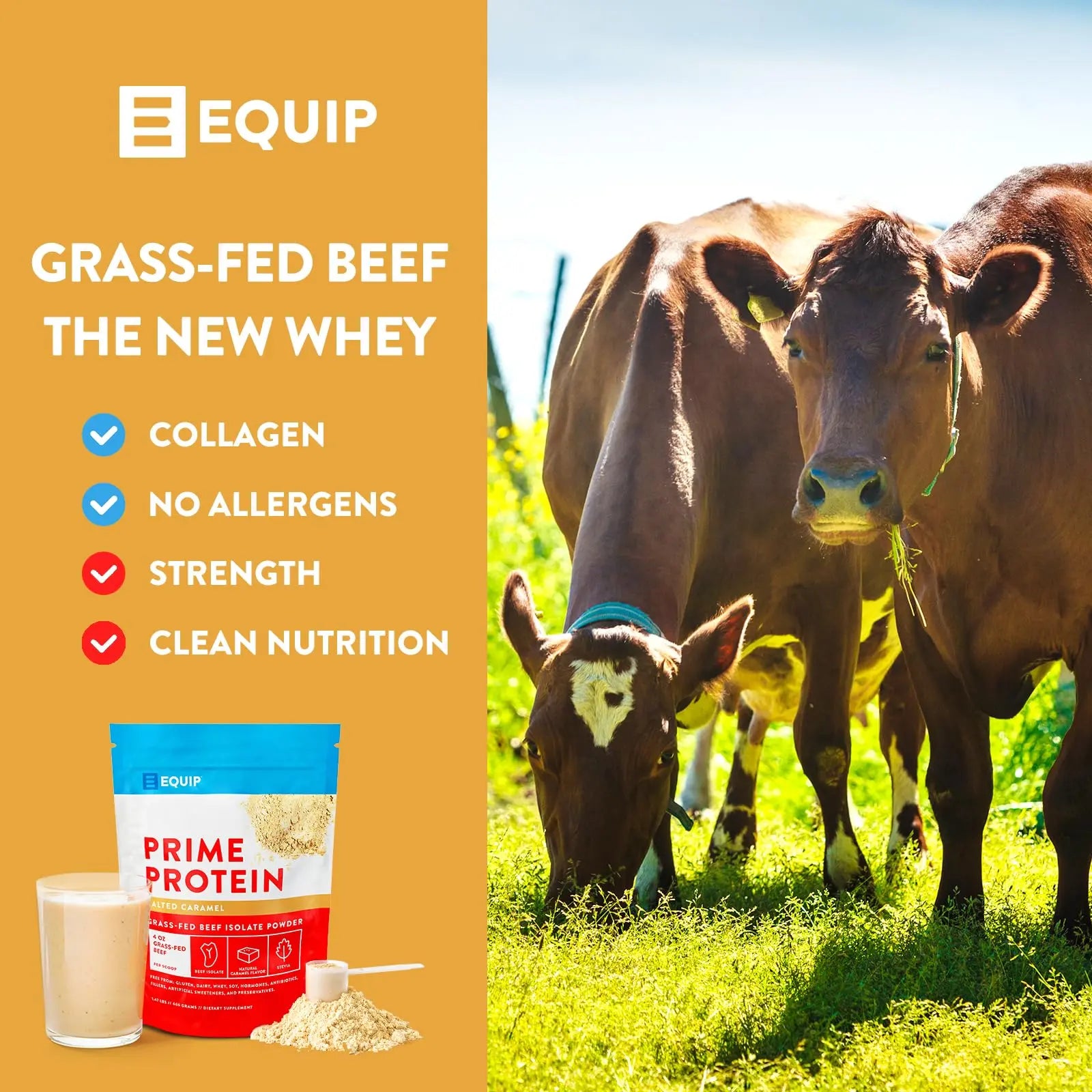 Equip Foods Prime Protein - Grass Fed Beef Protein Powder Isolate - Paleo and Keto Equip Au supplements