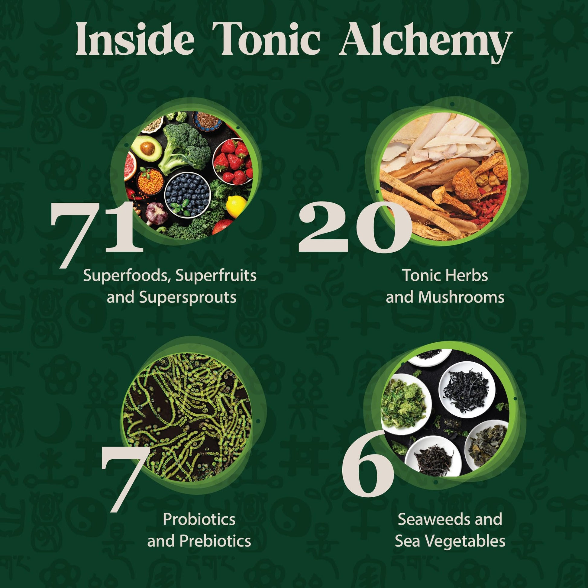 Dragon Herbs Tonic Alchemy Superfood Greens Powder with 91 Ingredients: Tonic Herbs, Ashwagandha, Mushrooms, Probiotics, Super Greens, Seaweeds, Fruits, Vegetables, Spirulina - 30 Servings Dragon Herbs Au supplements