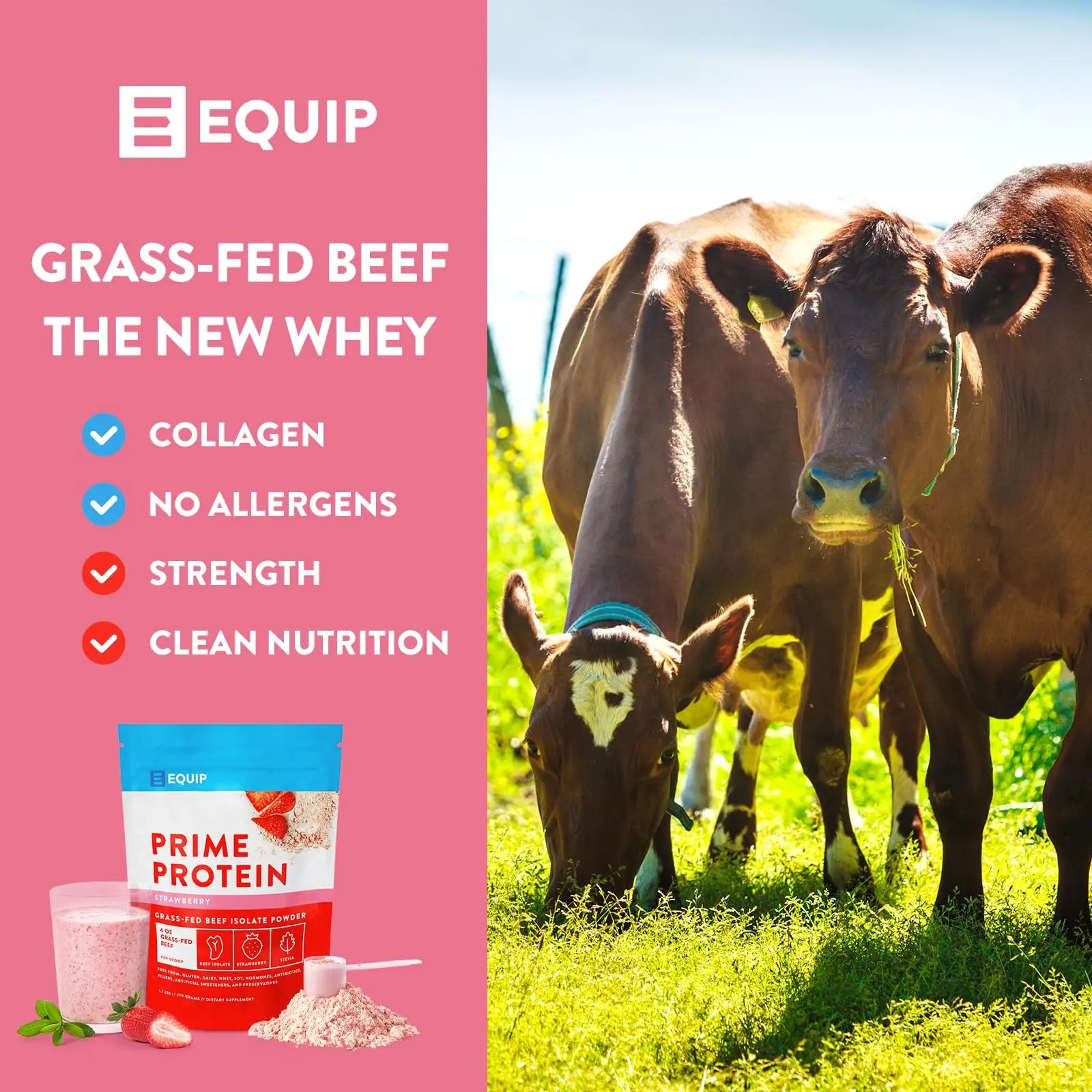 Equip Foods Prime Protein - Grass-Fed Beef Protein Powder Isolate -Paleo and Keto Equip Au supplements