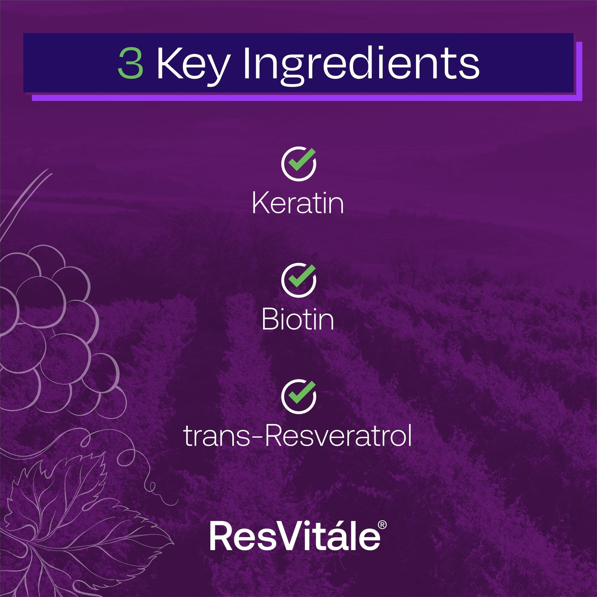 ResVitále Keratin Hair Enhance - Keratin Supplement for Hair Growth - 60 Capsules ResVitale Au supplements