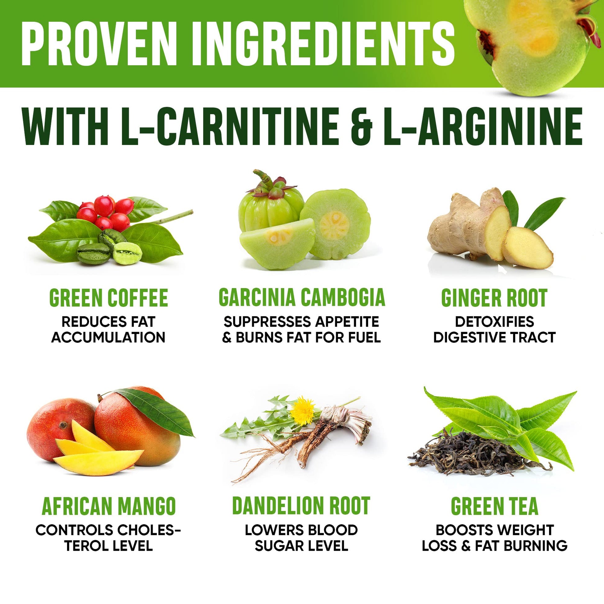 SHAPELINE Weight Loss Drops - Diet Drops 1 Fl Oz & 2 Fl Oz - Made in The USA - Appetite SHAPELINE Au supplements