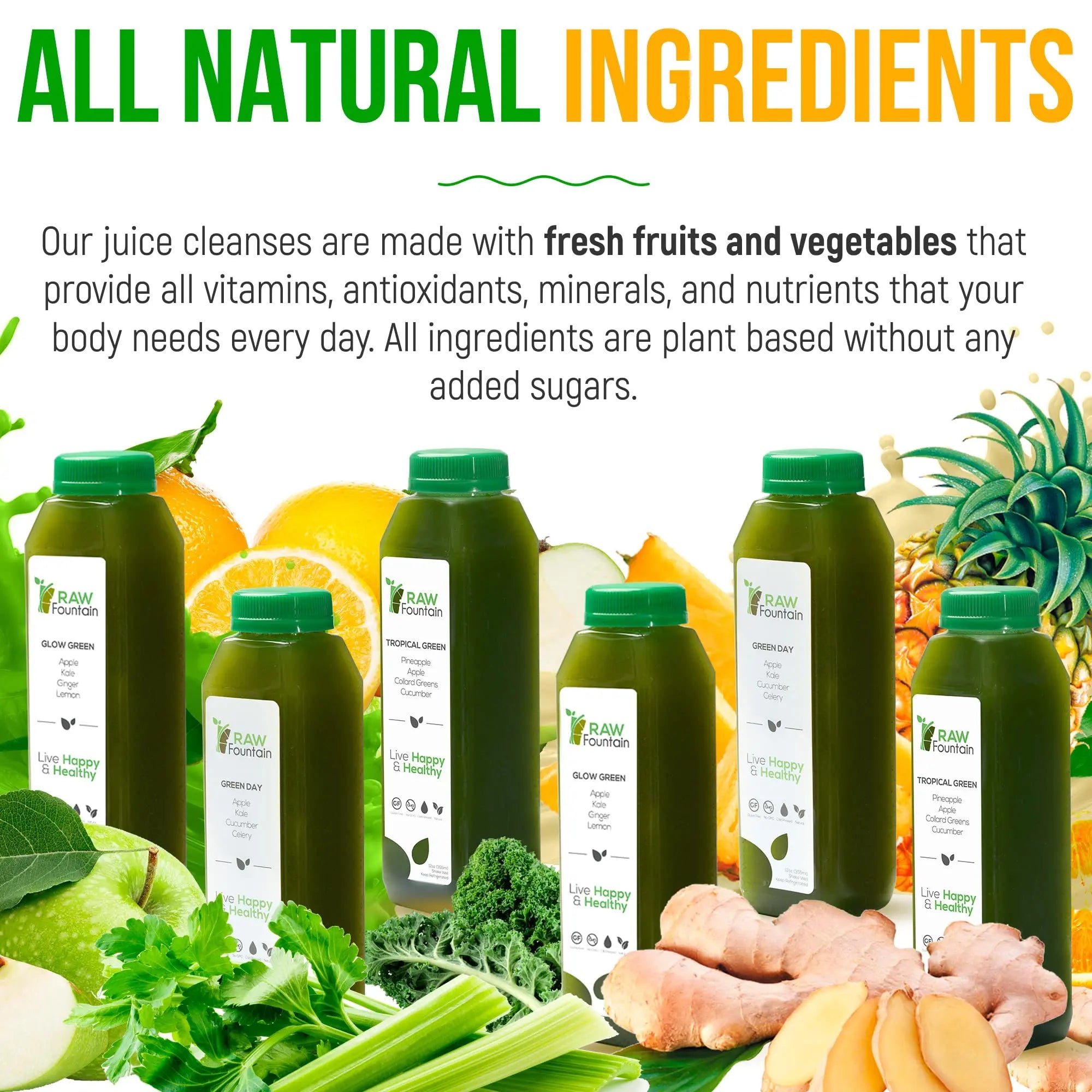 1 Day Green Juice Cleanse by Raw Fountain, All Natural Raw, Vegan Detox, Cold Pressed Raw Fountain Au supplements