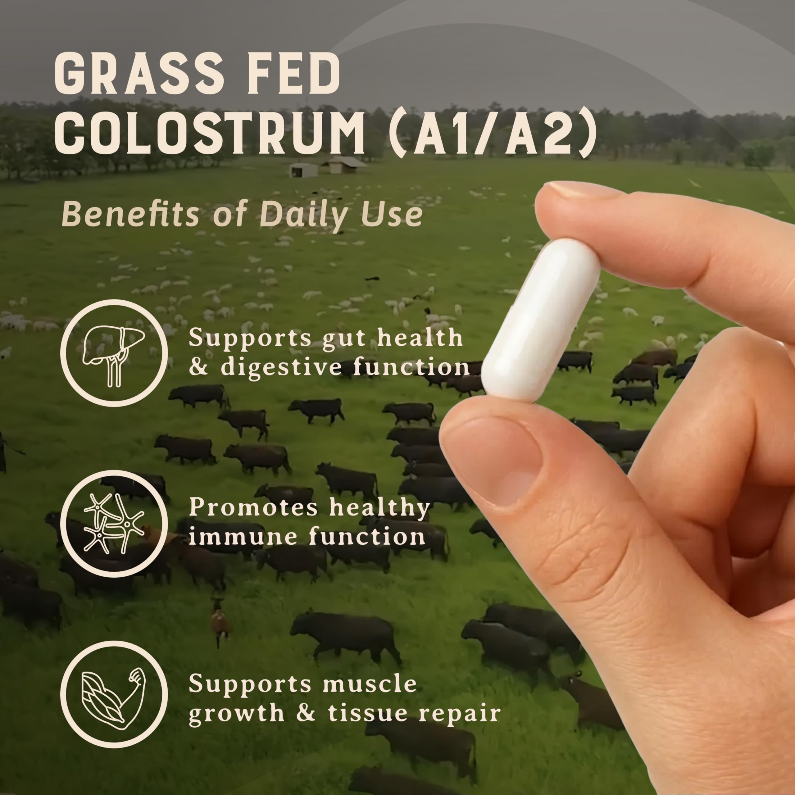 HEART & SOIL 100% Grass Fed & Finished Colostrum Supplement from Regenerative Cattle for Gut, Muscle & Immune Health – 3000mg Bovine Colostrum Capsules - Gut Health for Men & Women –180 Capsules HEART & SOIL Au supplements