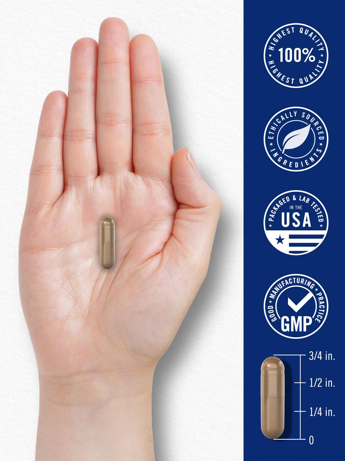 Carlyle Blood Circulation Supplement | 180 Capsules | Supports Healthy Circulation | Non-GMO, Gluten Free Carlyle Au supplements