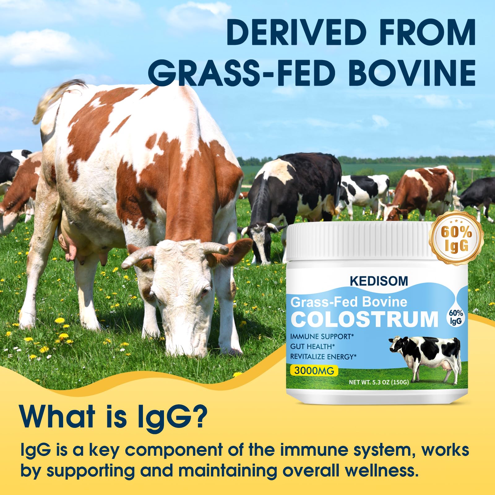 KEDISOM Grass-Fed Bovine Colostrum Supplement Powder - 60% High IgG 3000 mg for Gut Health, Immune Support - Easy to Mix Natural Liposomal Colostrum Superfood, Unflavored, 50 Servings KEDISOM Au supplements