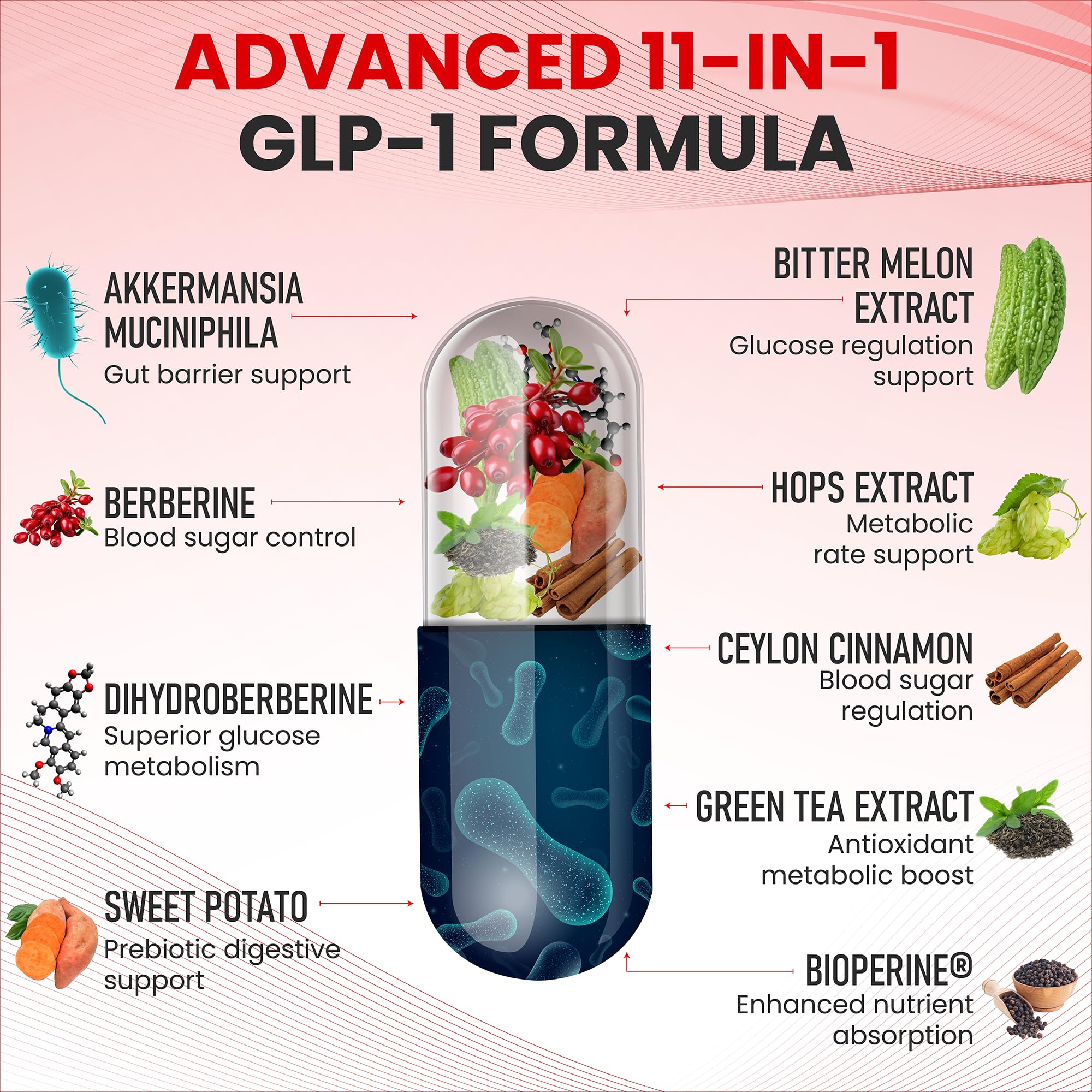 Zenrenu GLP-1 Supplement for Women - Natural Metabolism, Appetite & Craving Support – Super Berberine, Cinnamon,Akkermansia Probiotic,11-in-1 Gut Support - GLP Activate -60 Vegan Caps Zenrenu Au supplements