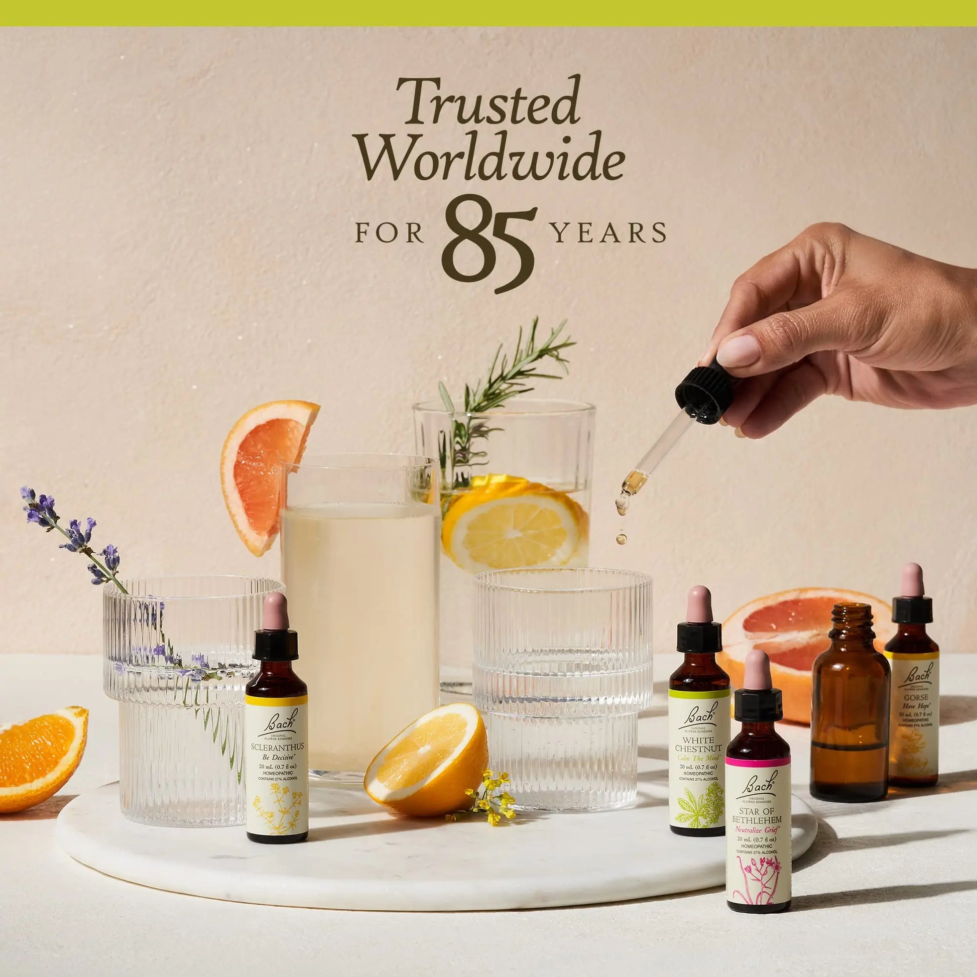 Bach Original Flower Remedies, Honeysuckle for Embracing The Now (Non-Alcohol Formula) Bach Au supplements