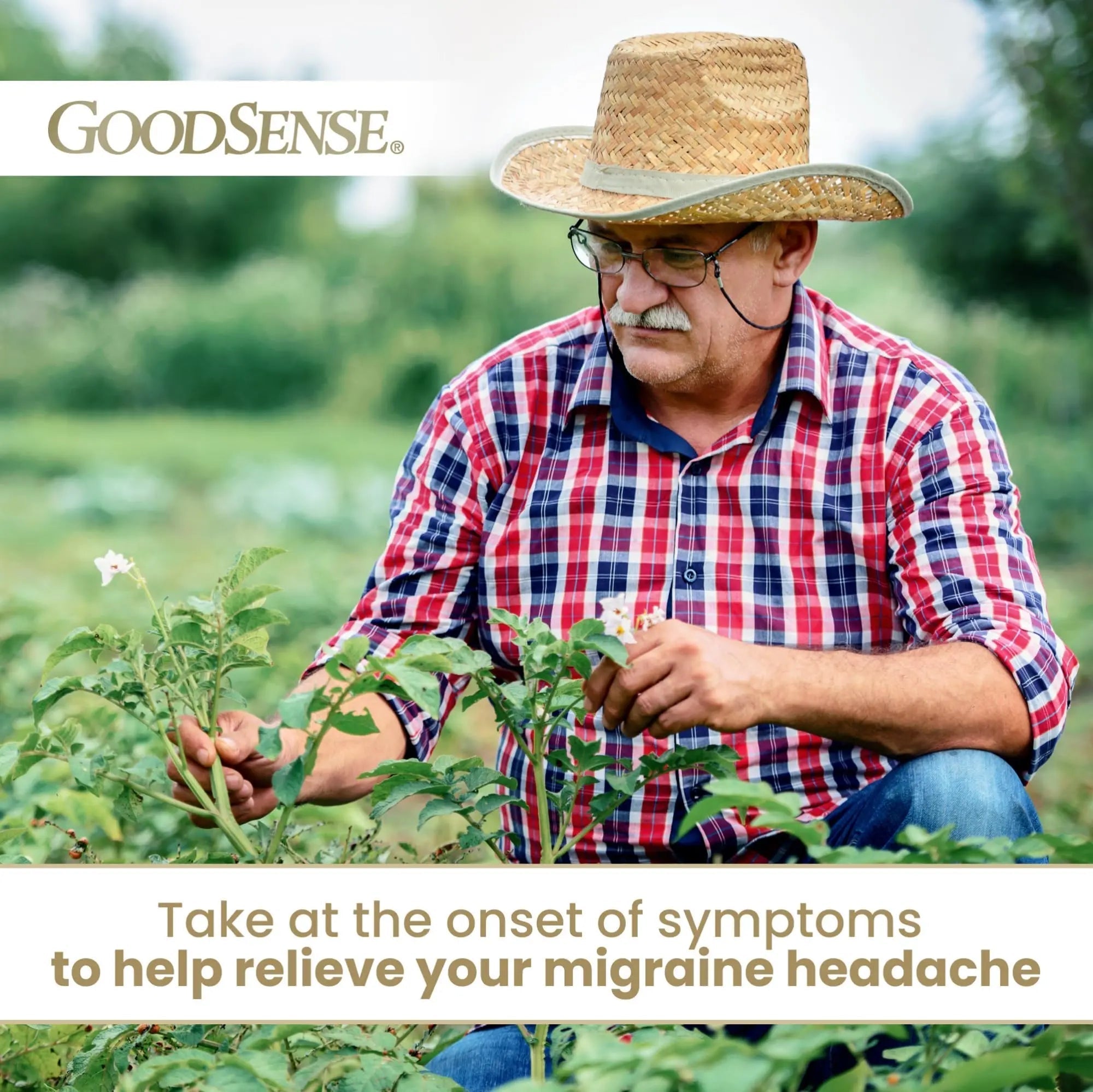 GoodSense Migraine Formula Caplets - Acetaminophen, Aspirin (NSAID) & Caffeine - Migraine Pain Relief, 24 Count GoodSense Au supplements