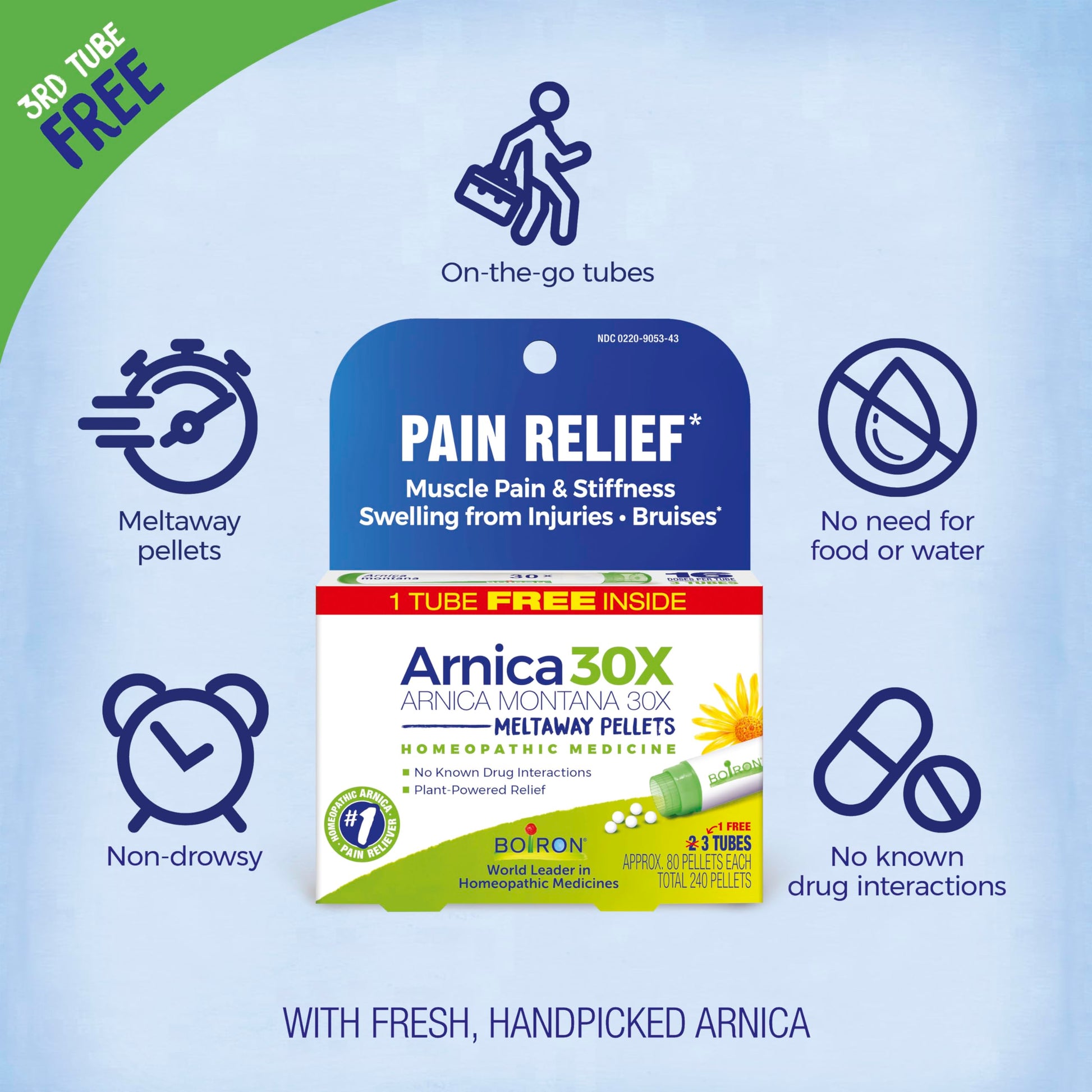 Boiron Arnica Montana 30X Homeopathic Medicine for Relief from Muscle Pain, Muscle Stiffness, Swelling from Injury, and Discoloration from Bruises - 3 Count (240 Pellets) Boiron Au supplements