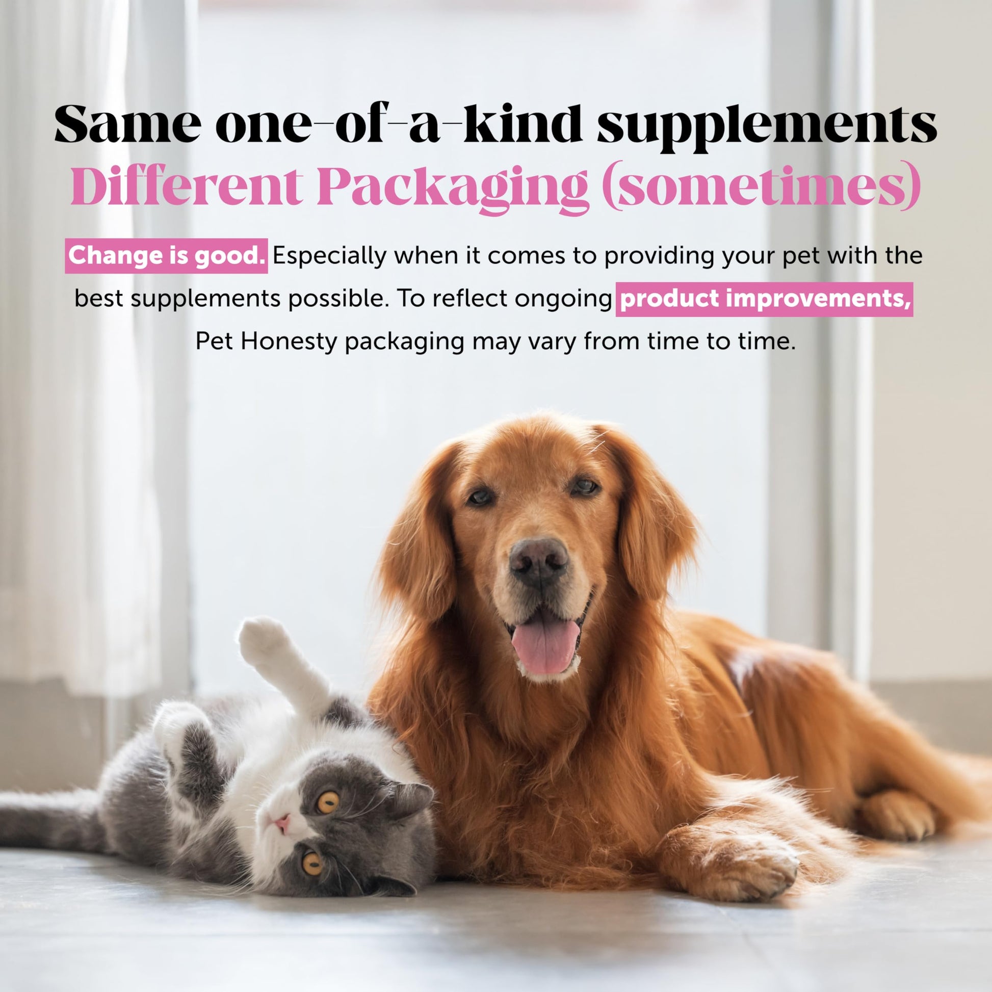 Senior Hemp Hip and Joint Supplement for Dogs - Glucosamine Chondroitin, MSM & Green Lipped Mussel - Relief for Joint Stiffness, Advanced Strength Mobility Support for Senior Dogs (Chicken, 90 Ct) Pet Honesty Au supplements