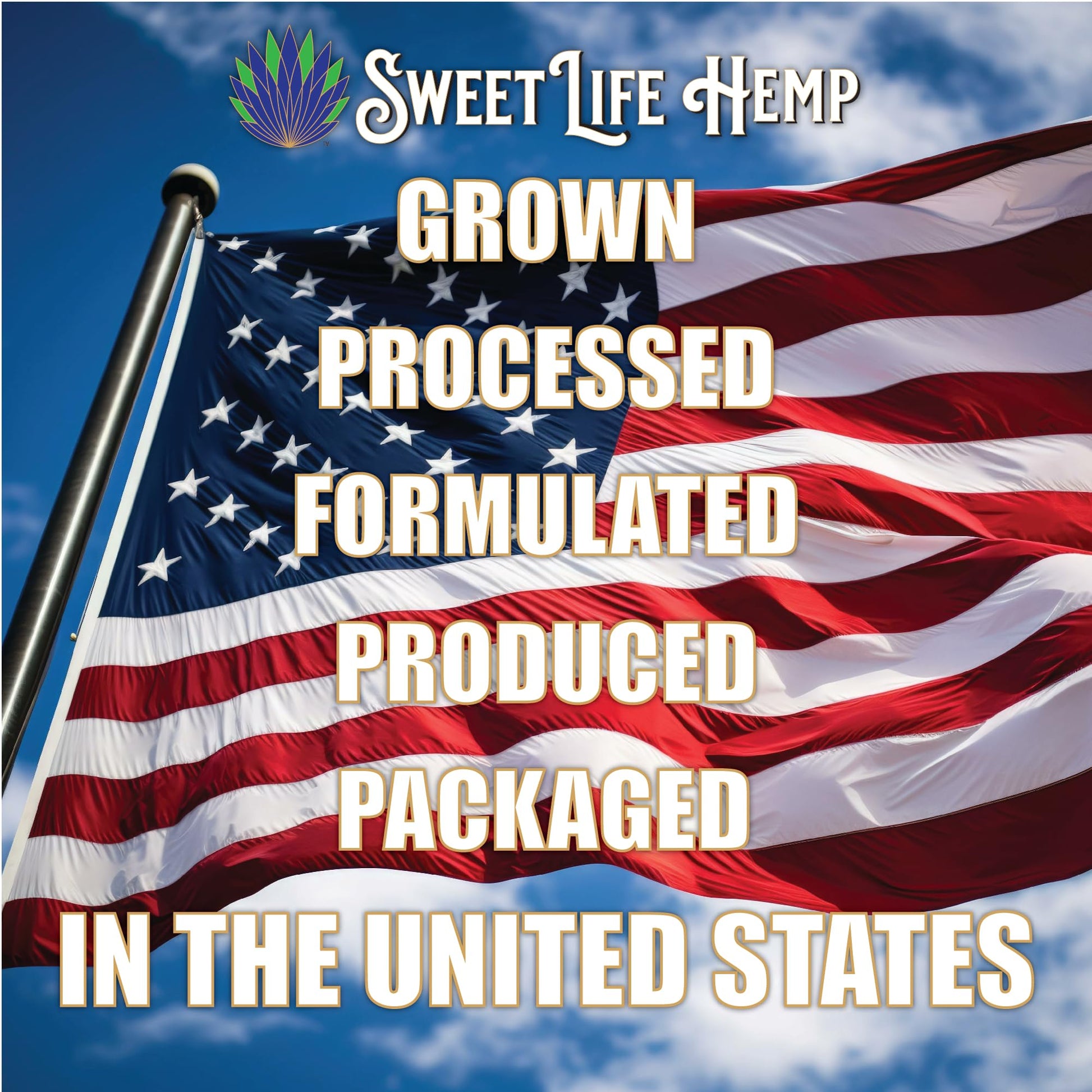 Sweet Life | Hemp Salve Stick | 3000mg | Organic Botanical Balm | Twist-Up Applicator | Small Business | Muscle & Joint Comfort Sweet Life Au supplements