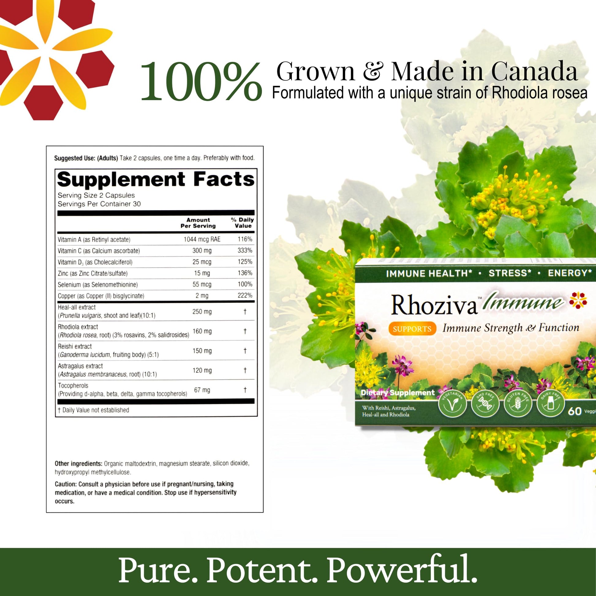 Immune Support, Energy Booster with Vitamin C, D3 and Zinc Supplement, Rhodiola Rosea, Reishi Mushroom Extract, Astragalus, Overall Wellness and Daily Habit - 60 Capsules Rhoziva Au supplements