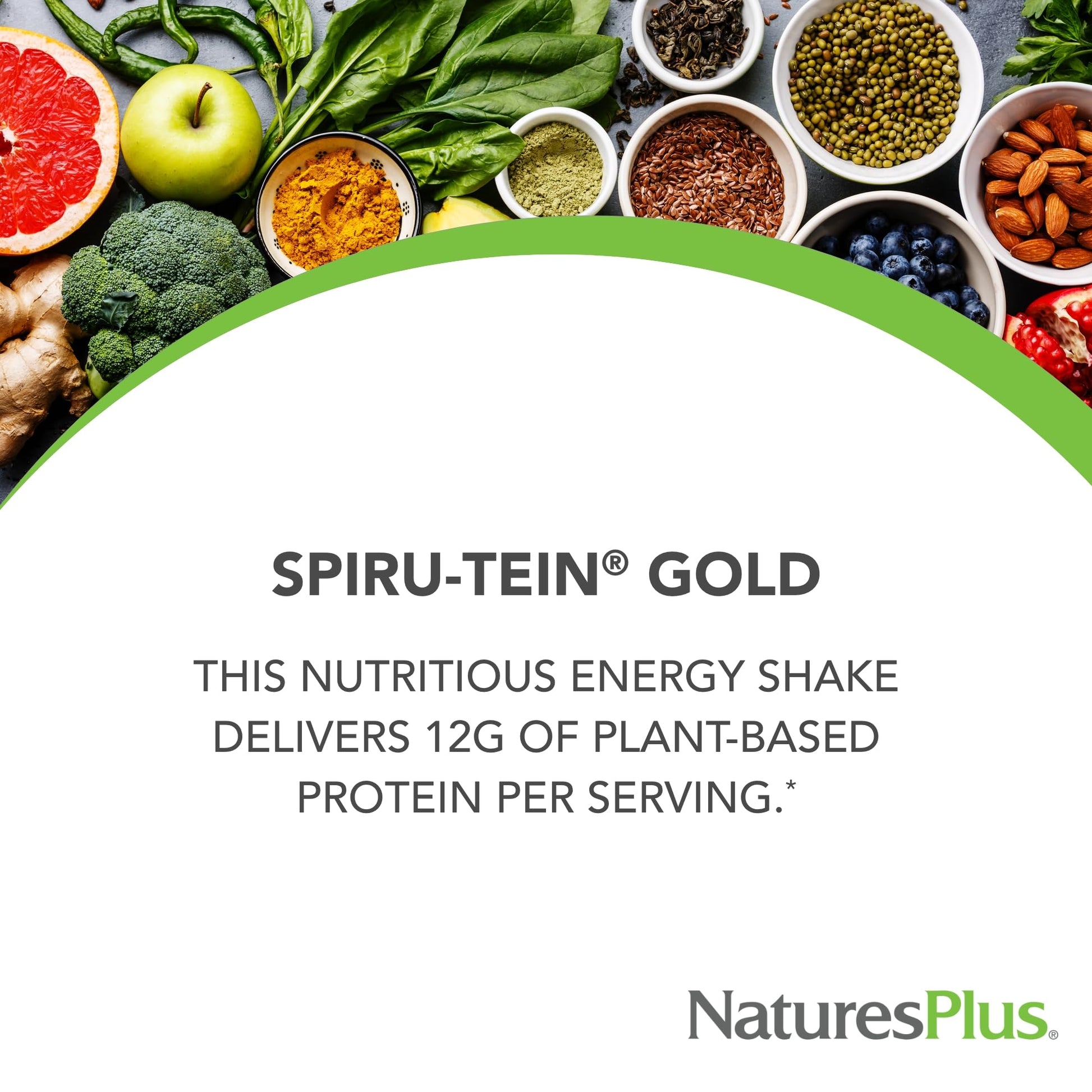 NaturesPlus SPIRU-TEIN GOLD, Vanilla - 1.03 lb - Plant-Based Protein Powder - Vitamins & Minerals for Energy - Vegetarian, Gluten Free - 13 Servings NaturesPlus Au supplements