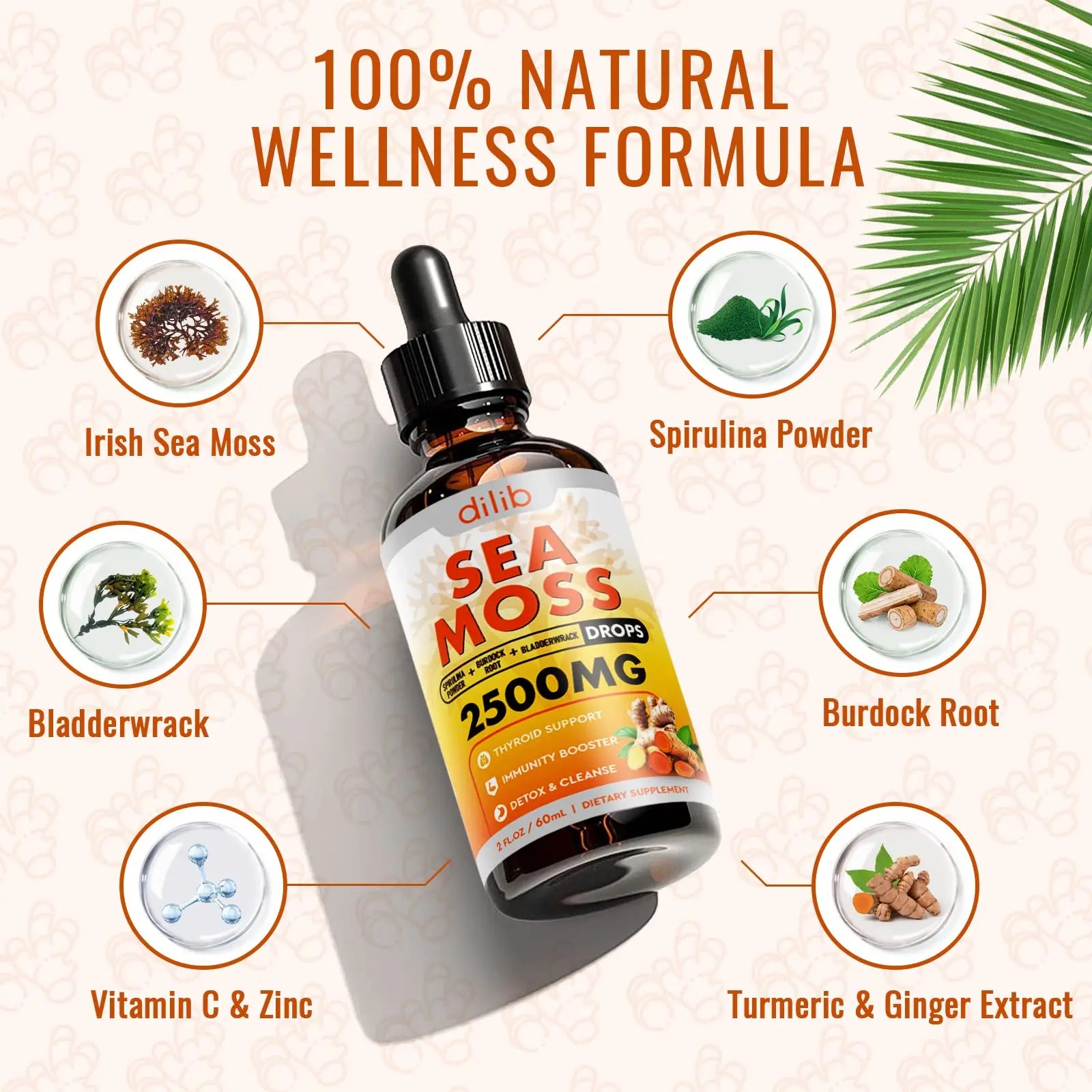 Sea Moss Liquid Drops: Organic Irish Sea Moss 2500mg with Turmeric, Bladderwrack dilib Au supplements