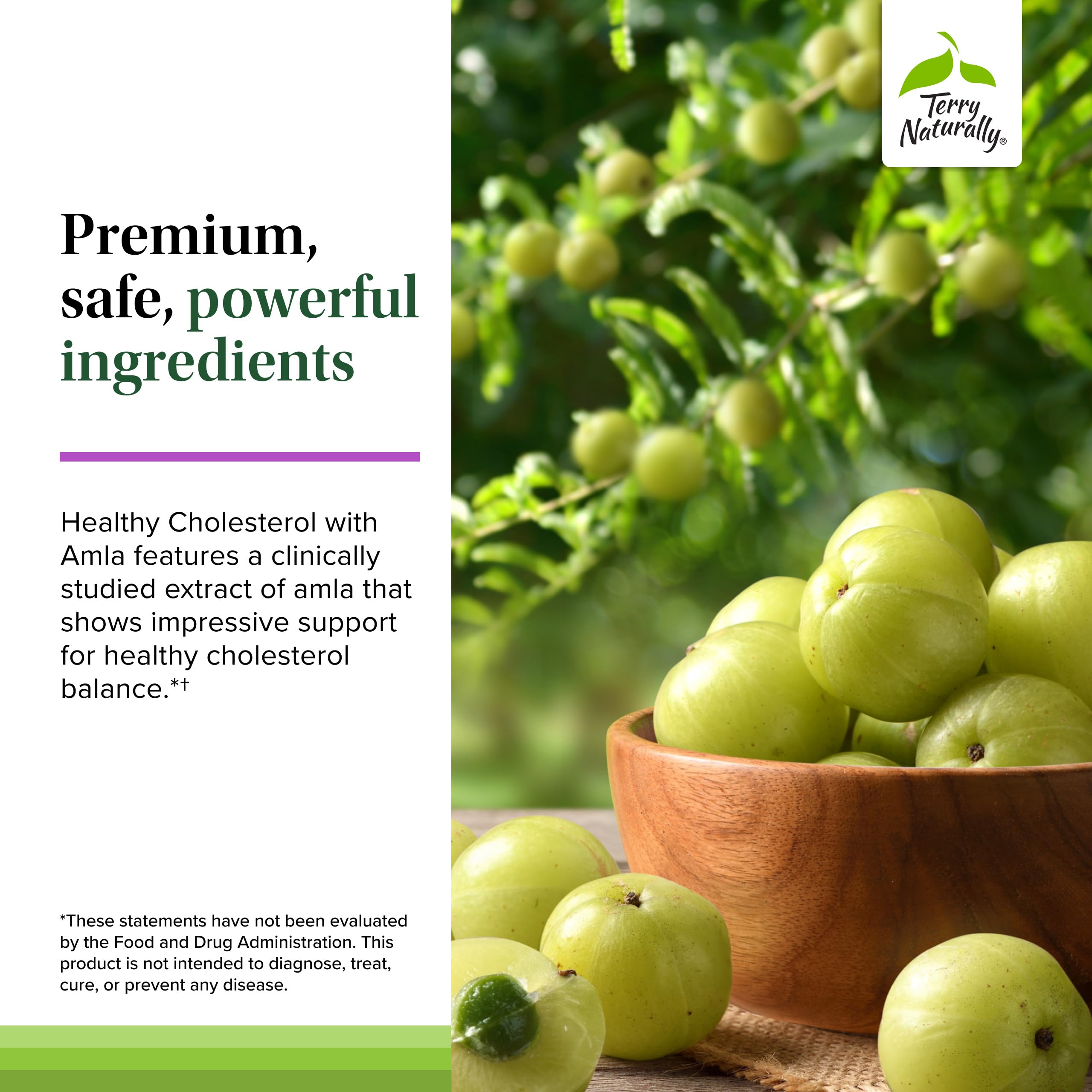 Terry Naturally Healthy Cholesterol with Amla - Antioxidant Supplement for Immune & Heart Support - Supplement to Aid Healthy Cholesterol & Triglyceride - 60 Capsules Terry Naturally Au supplements
