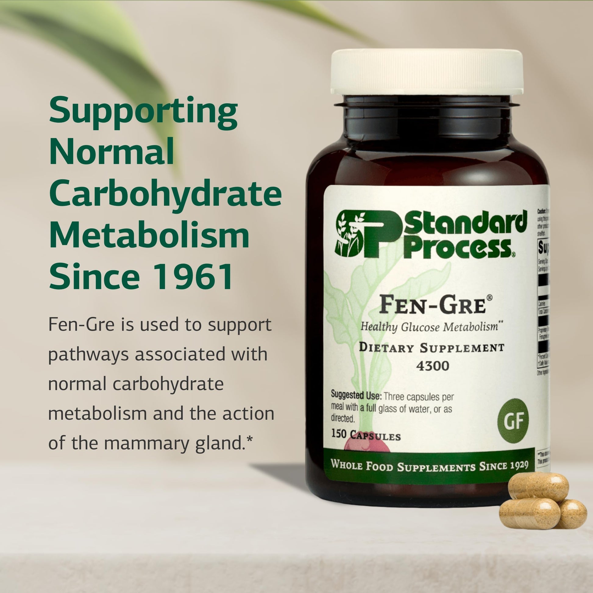 Standard Process Fen-Gre - Supports Respiratory Support & Healthy Metabolism - Aids Healthy Levels of Mucus & Phlegm - Supports Lung Health & Bronchial Tubes - Gluten-Free & Non-Dairy - 150 Capsules Standard Process Inc. Au supplements