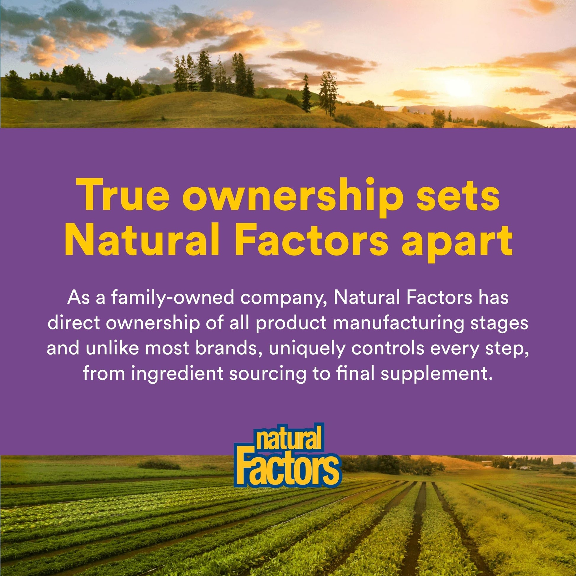 Natural Factors Pharma GABA - Dietary Supplement Supports Calm Sleep & Sleep Quality - Natural, Fast-Working Supplement Aids Focus & Brain Health - 60 Chewable Tablets (60 Servings) Natural Factors Au supplements