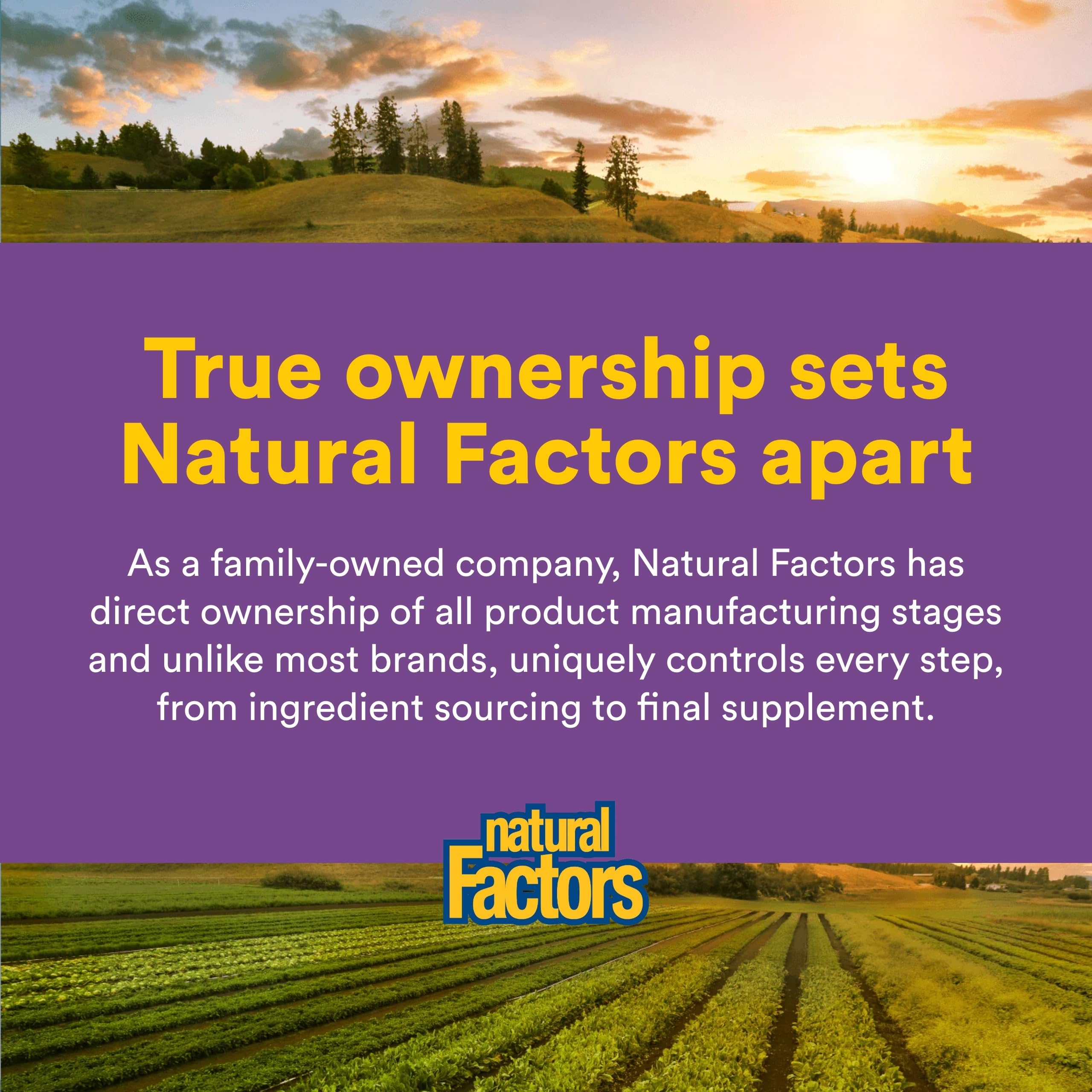 Natural Factors Pharma GABA - Dietary Supplement Supports Calm Sleep & Sleep Quality - Natural, Fast-Working Supplement Aids Focus & Brain Health - 60 Chewable Tablets (60 Servings) Natural Factors Au supplements