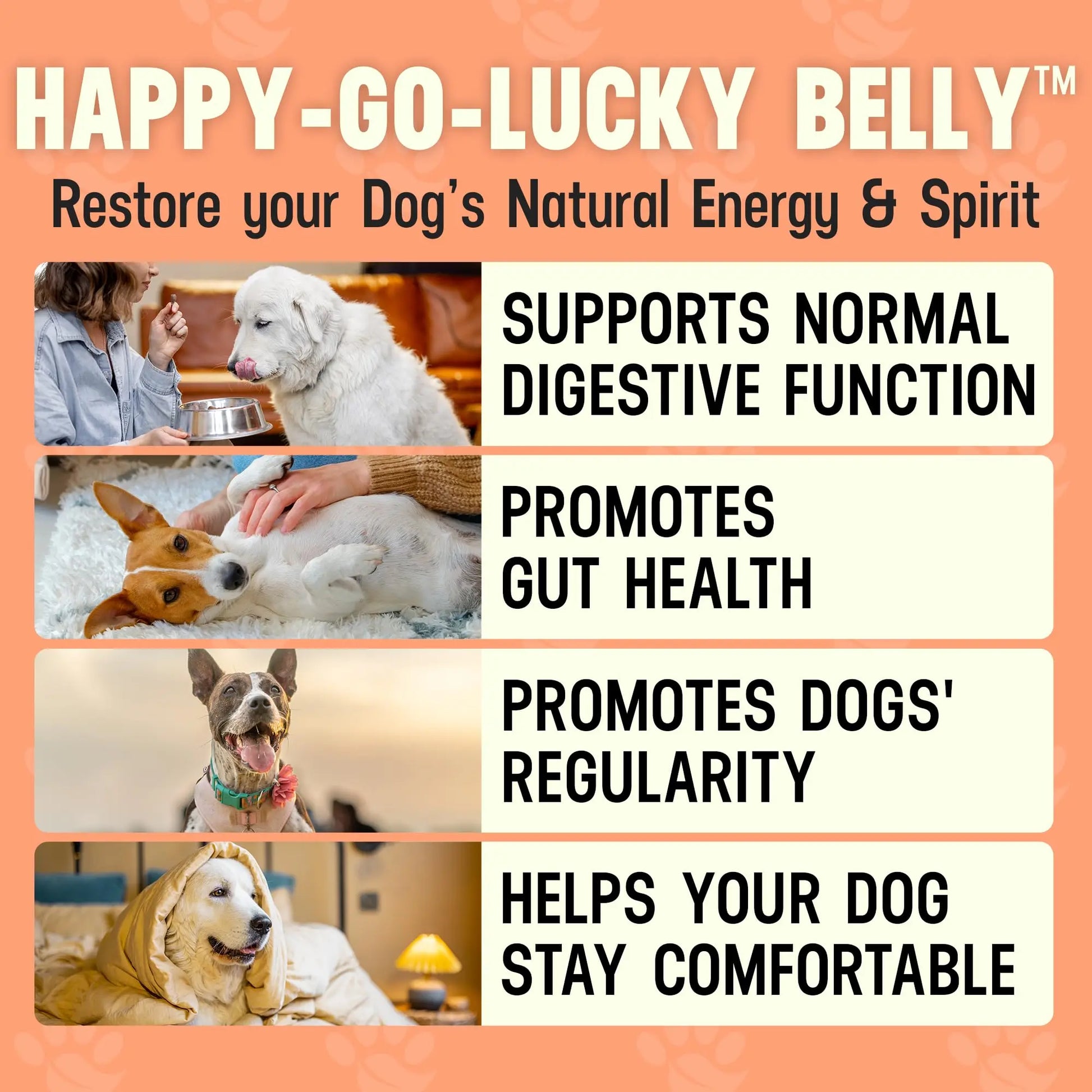 Better Dog Supplements Happy-Go-Lucky Belly by Cesar Millan - Natural Dog Digestive Support Powder – Dog Constipation Relief, Gut Balance & Regularity with Herbal Fiber for Dogs – 4oz (60-Day Supply) Better Dog Supplements By Cesar Millan Au supplements