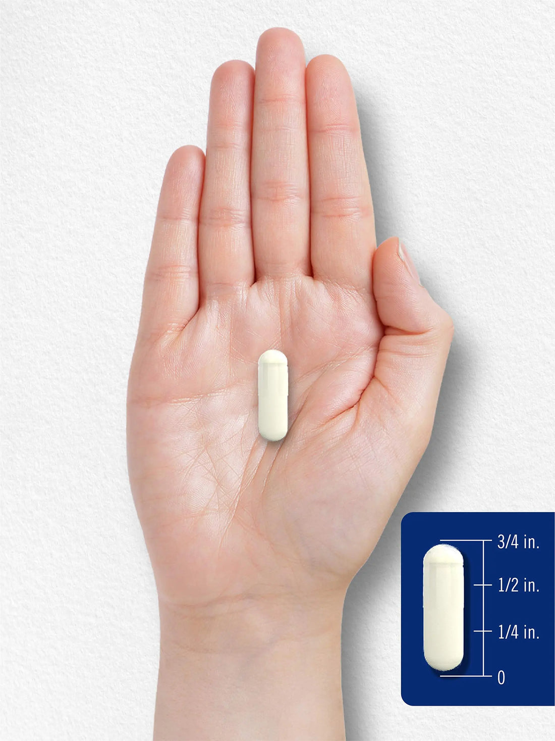 Carlyle L Methylfolate 15mg | 120 Capsules | Value Size | Max Potency | Optimized Carlyle Au supplements