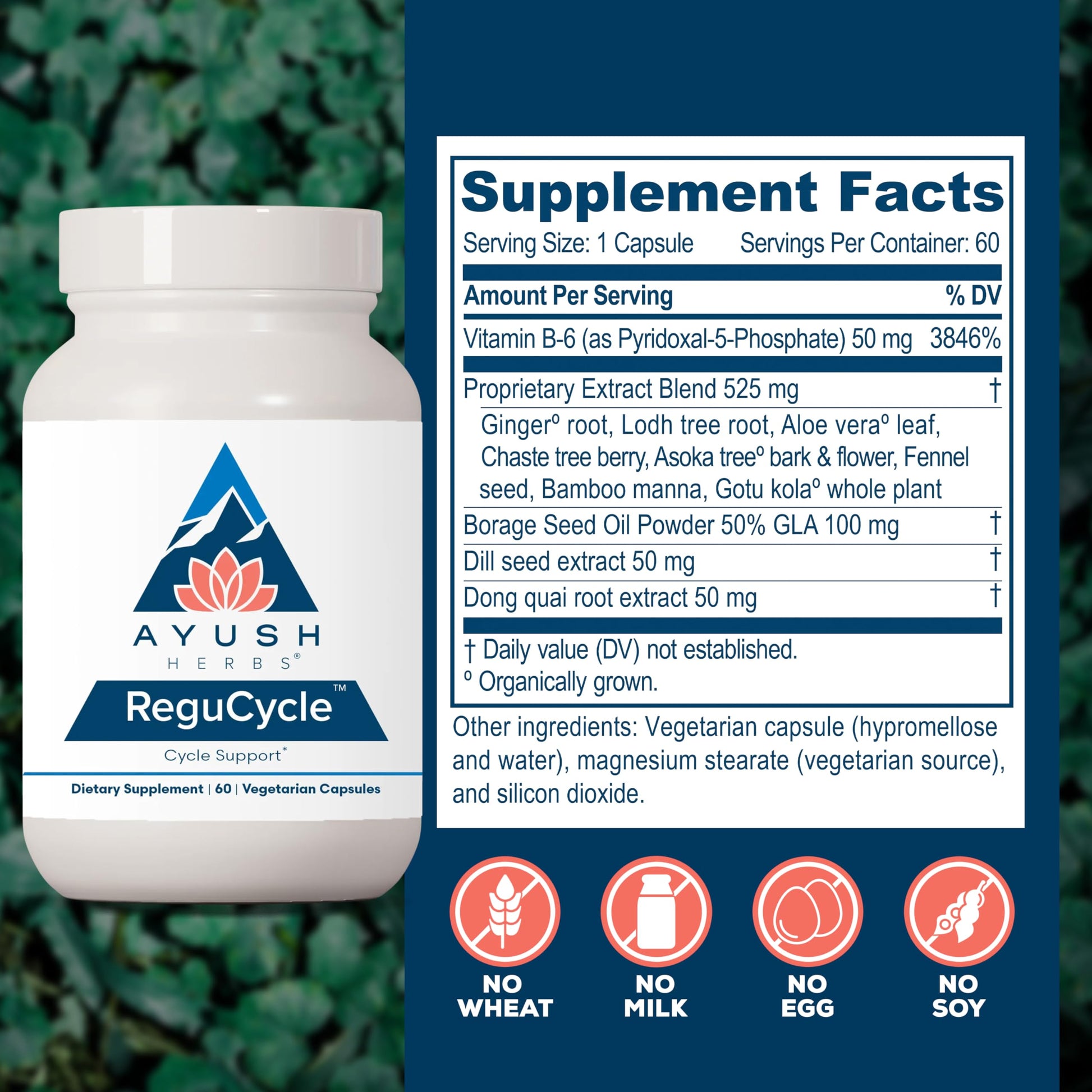 Ayush Herbs Regu-Cycle - Hormone Balance for Women, Hormonal Support, Period Support & Relief, Reproductive Health, Regulate Menstrual Cycle, Ovarian Support Supplement - 60 Vegetarian Capsules Ayush Herbs Au supplements
