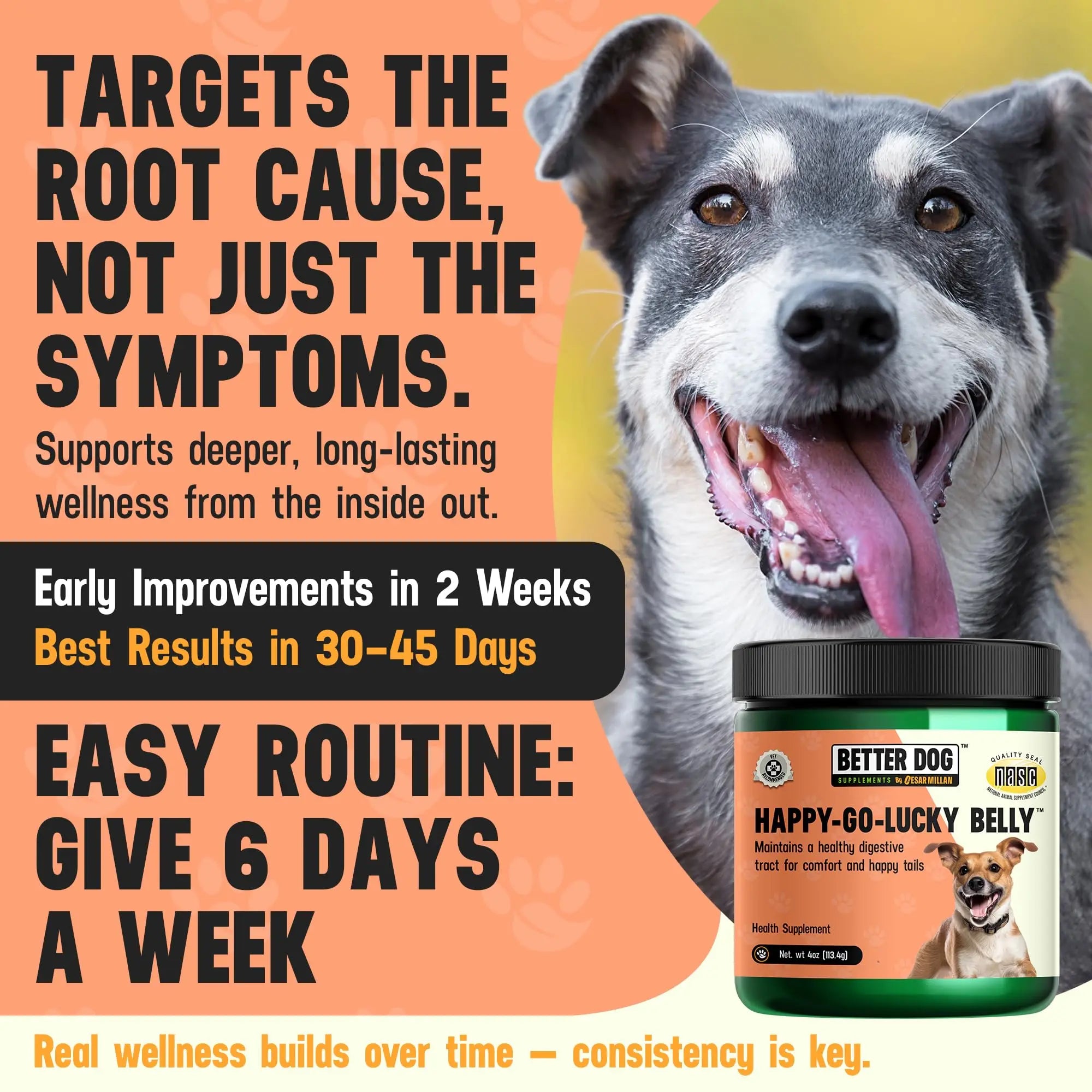 Better Dog Supplements Happy-Go-Lucky Belly by Cesar Millan - Natural Dog Digestive Support Powder – Dog Constipation Relief, Gut Balance & Regularity with Herbal Fiber for Dogs – 4oz (60-Day Supply) Better Dog Supplements By Cesar Millan Au supplements