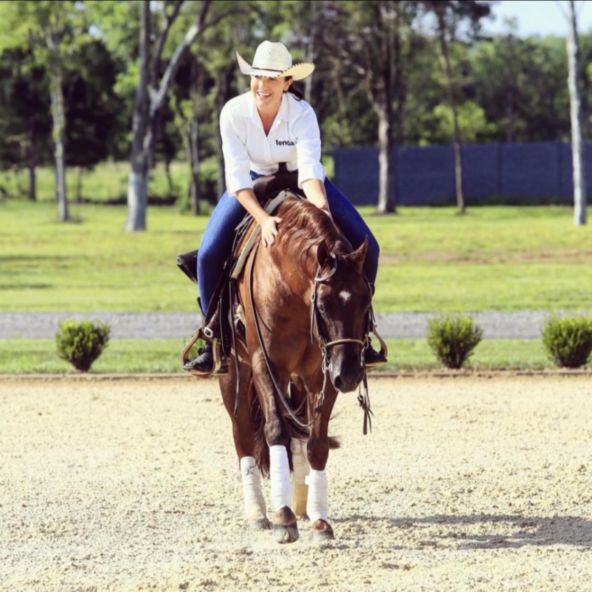 Tenda Liniment Gel - Designed to Provide Temporary Soothing, Relief for Sore and Stiff Muscles Tenda Horse Products Au supplements