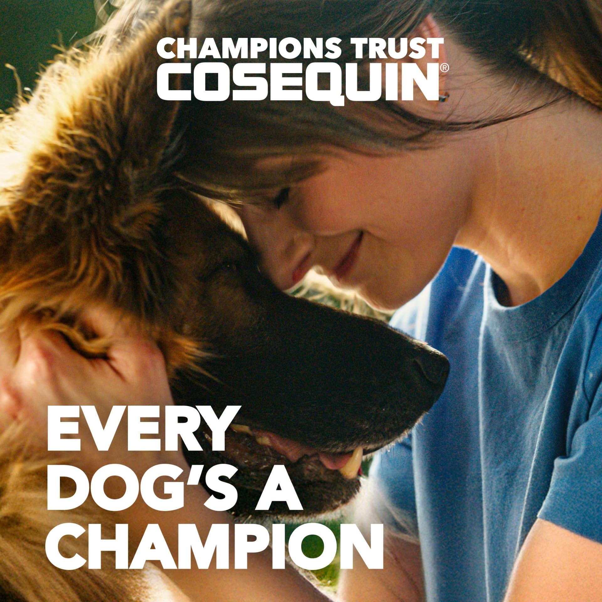 Nutramax Cosequin for Dogs Joint Health Supplement, Contains Glucosamine for Dogs, Chondroitin, MSM and Omega-3s, Supports Joint and Skin and Coat Health, Soft Chews, 60 Count Nutramax Laboratories Au supplements