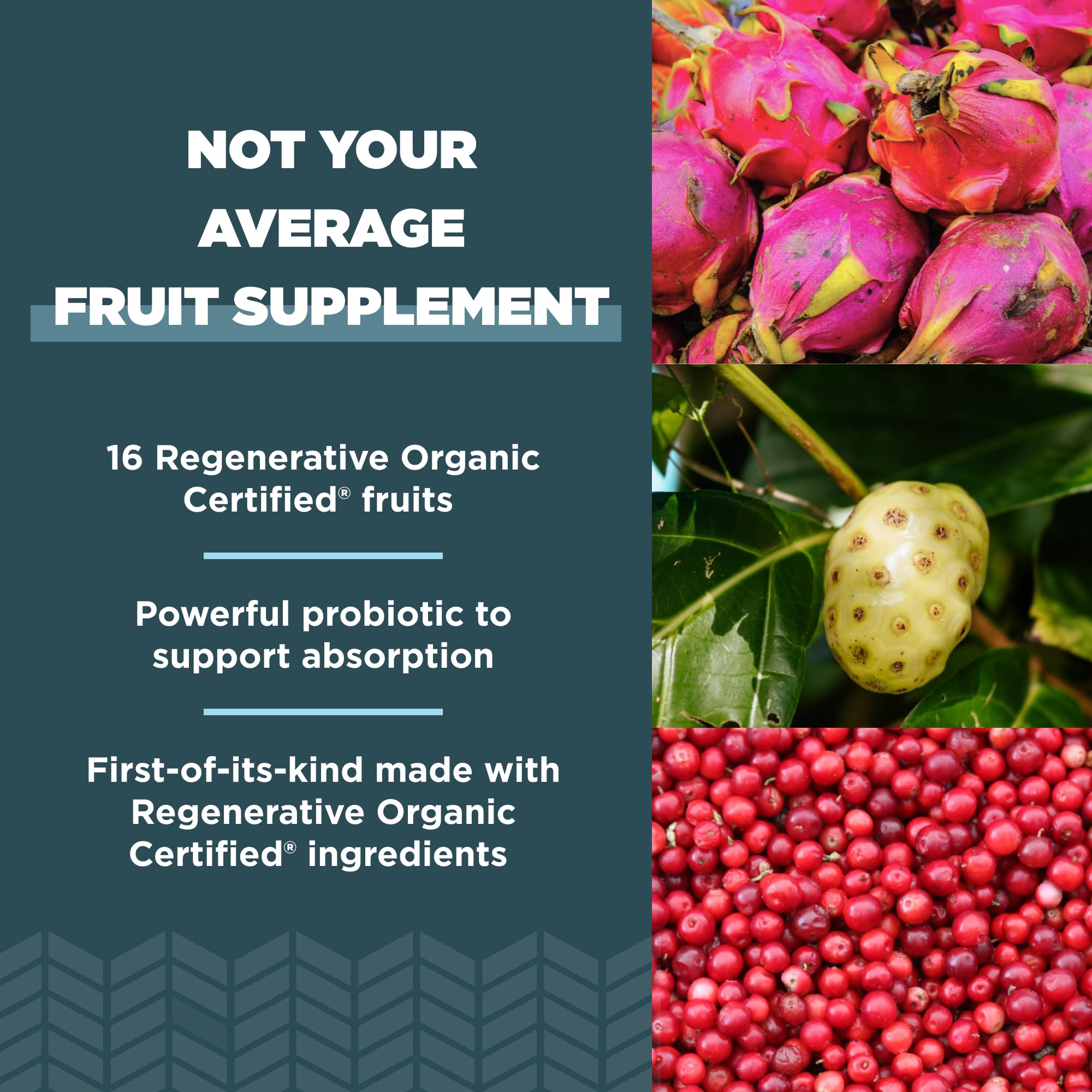 Ancient Nutrition Regenerative Organic Certified SuperFruits Capsules, Supports Gut and Immune System Health, Made with Probiotics, Dragonfruit, Mulberry, and Goji, 60 Count Ancient Nutrition Au supplements