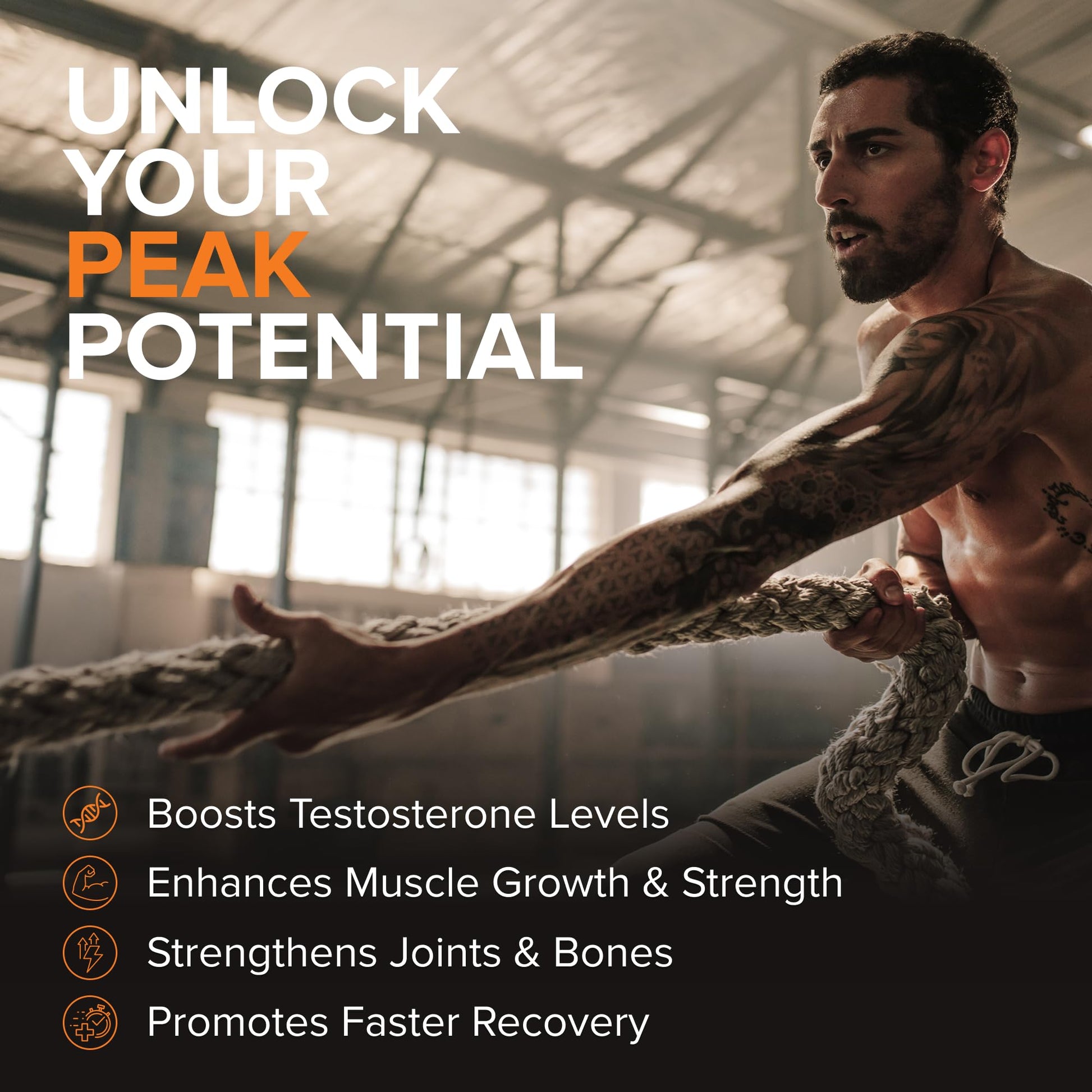 STRIVLABS Peak Potential 12-in-1 Testosterone Support for Men – Natural Strength, Energy & Muscle Builder with Tongkat Ali, Ashwagandha & Fenugreek – 90 Capsules STRIVLABS Au supplements