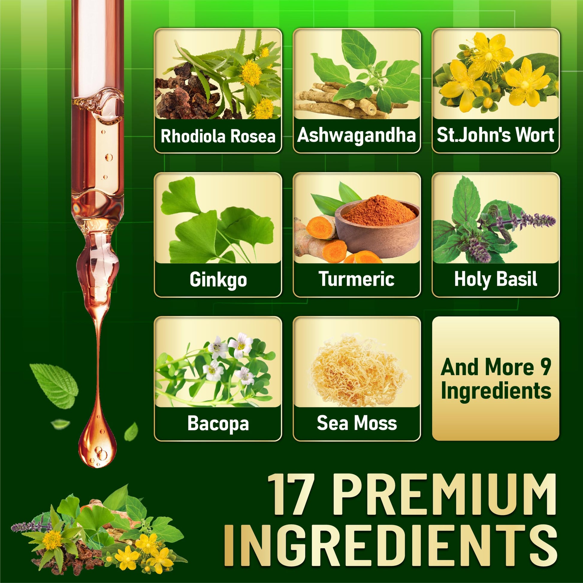 17in1 Rhodiola Rosea Liquid Supplement with Ashwagandha, Magnesium Glycine, L-Theanine, Vitamin C, Vitamin D3, Vitamin K2, Ginkgo, Turmeric, Holy Basil and More - 1 FL Oz - 60 Day Supply WELBUDA Au supplements