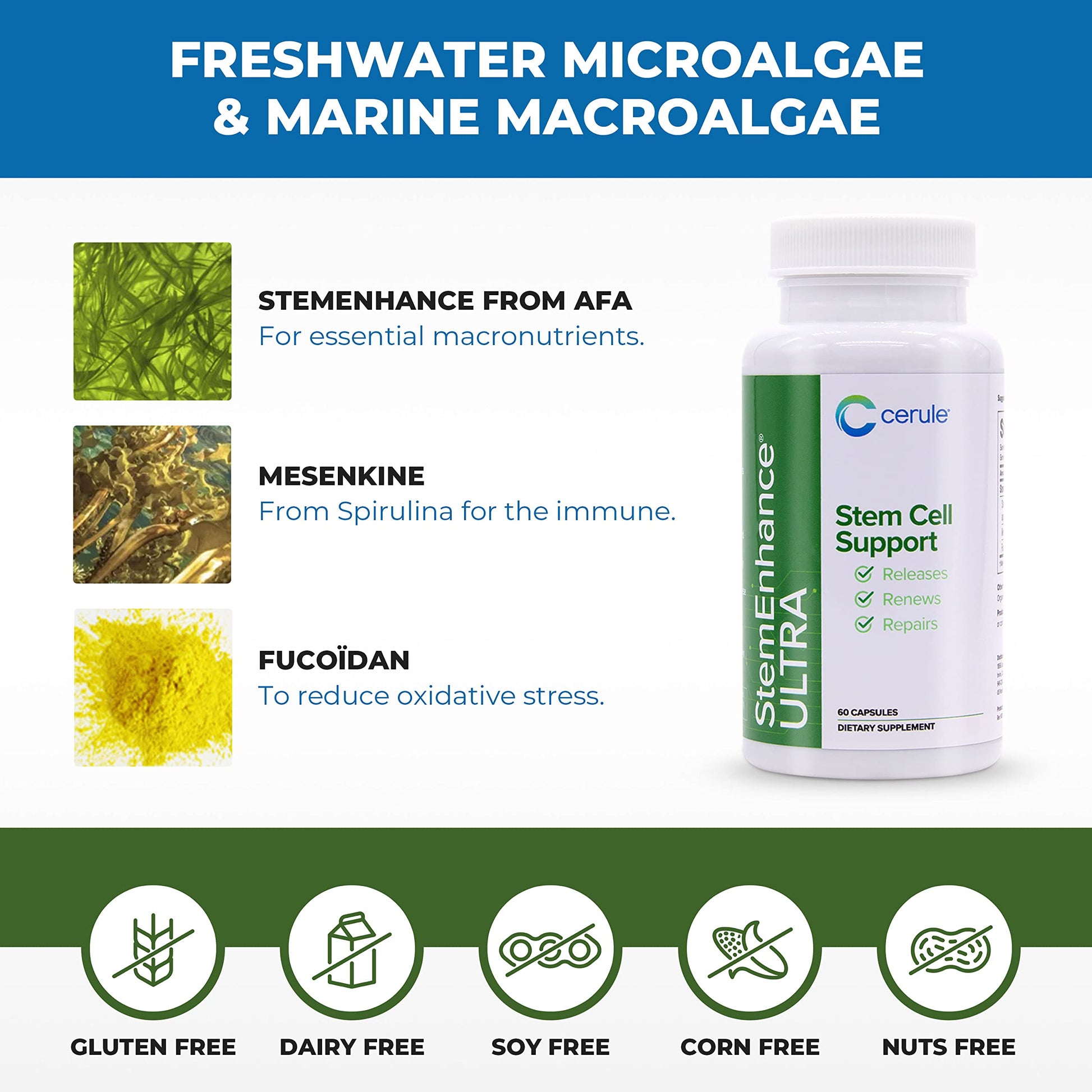 Cerule StemEnhance Ultra Natural Stem Cell Support Supplement – Freshwater Microalgae and Marine Macroalgae Extracts for Cellular Renewal, Immune Function, Energy, and Tissue Recovery – 60 Capsules Cerule Au supplements