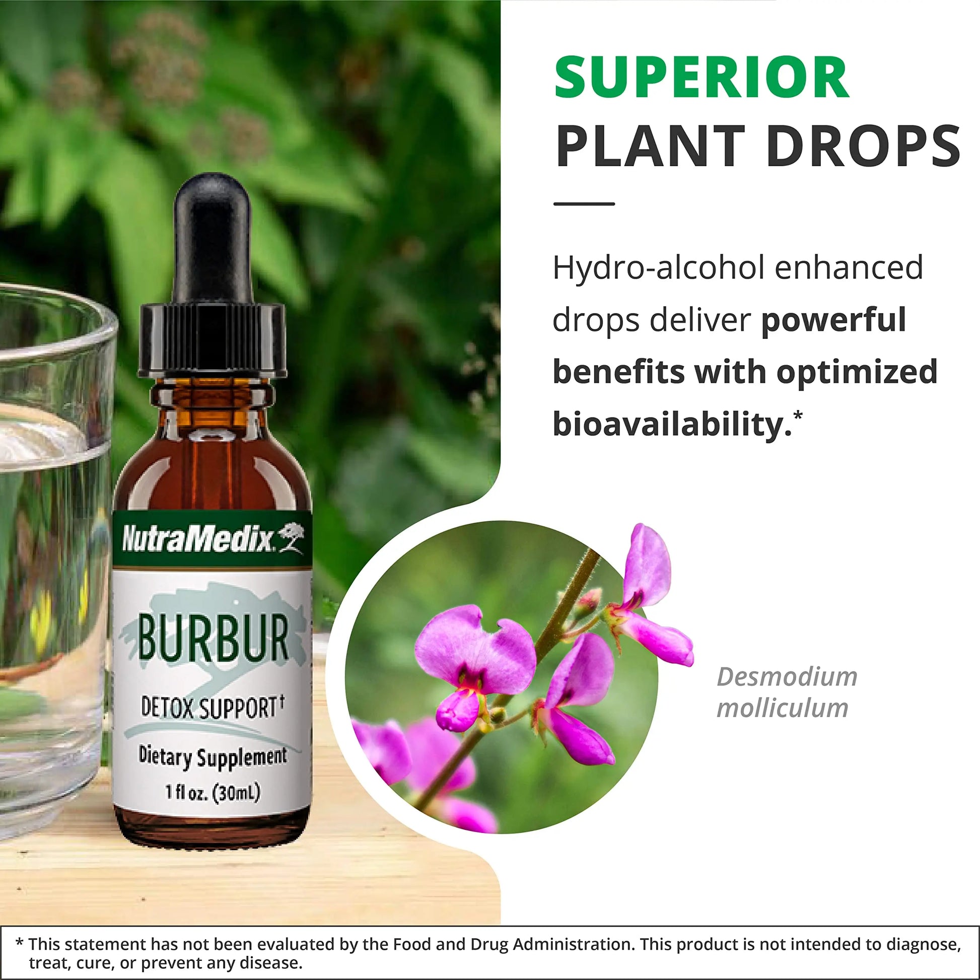 NutraMedix Burbur Detox Support Supplement - Desmodium Molliculum Extract Drops NutraMedix Au supplements