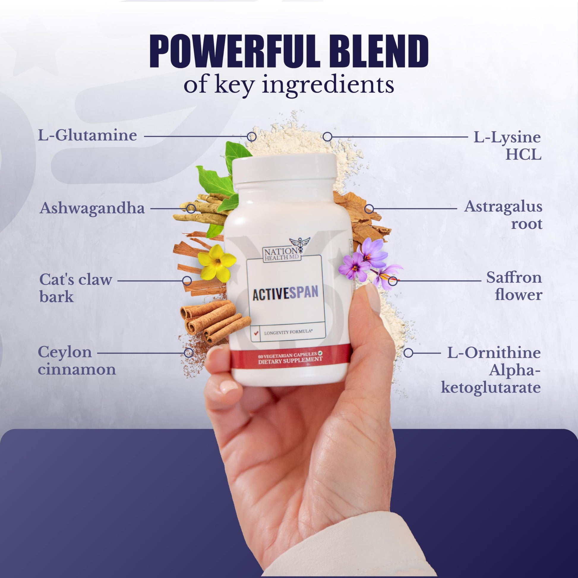 NATION HEALTH MD ActiveSpan - Longevity Supplement for Anti Aging - with Ashwagandha Extract, Astragalus, Cat's Claw, Ceylon Cinnamon, L-Lysine, L-Glutamine & More - 60 Capsules NATION HEALTH MD Au supplements