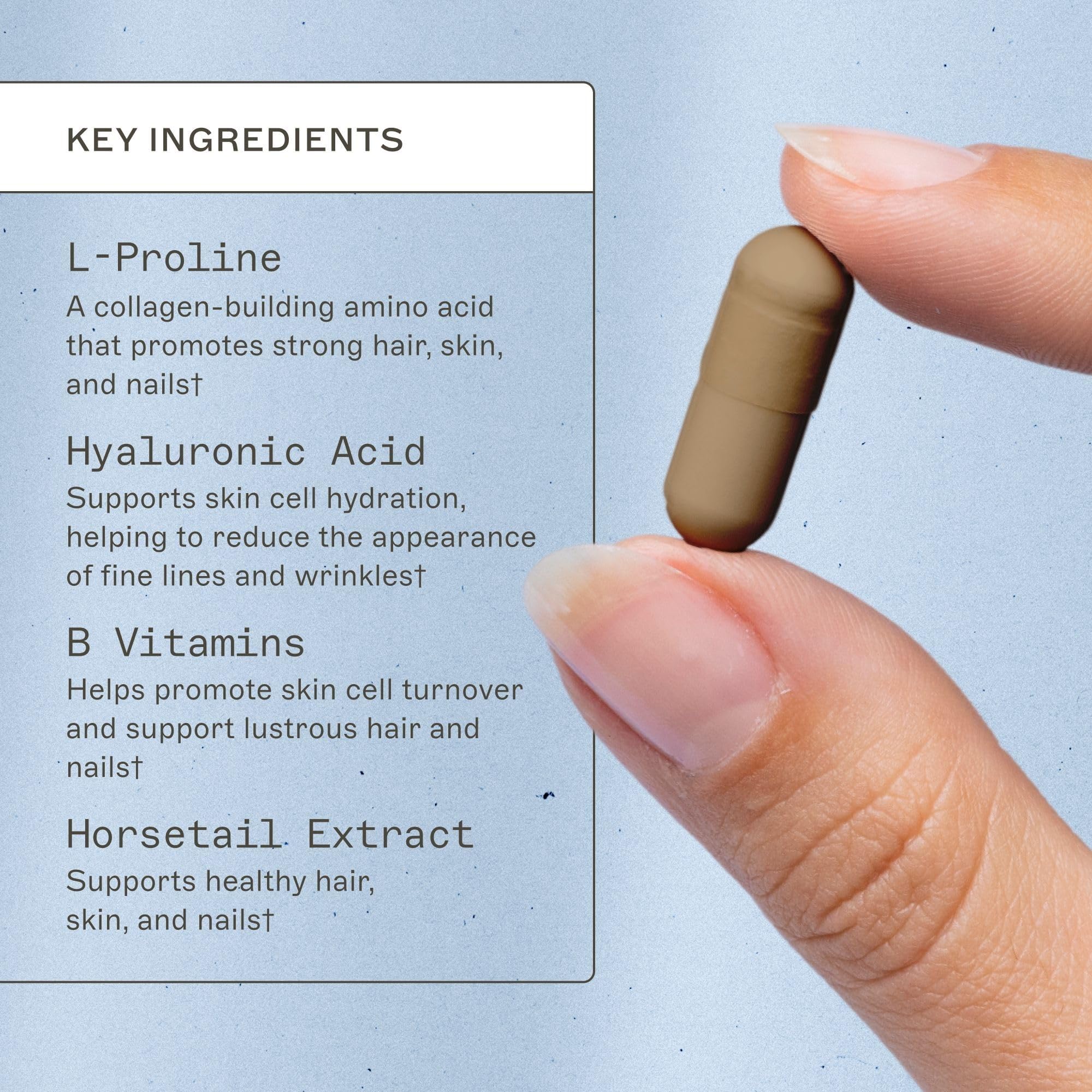 Amy Myers MD Hair Skin and Nails - Supports Strong Hair, Radiant Skin & Healthy Nails - L-Proline, Horsetail, Hyaluronic Acid - Gluten-Free - 120 Capsules (30 Servings) Amy Myers MD Au supplements