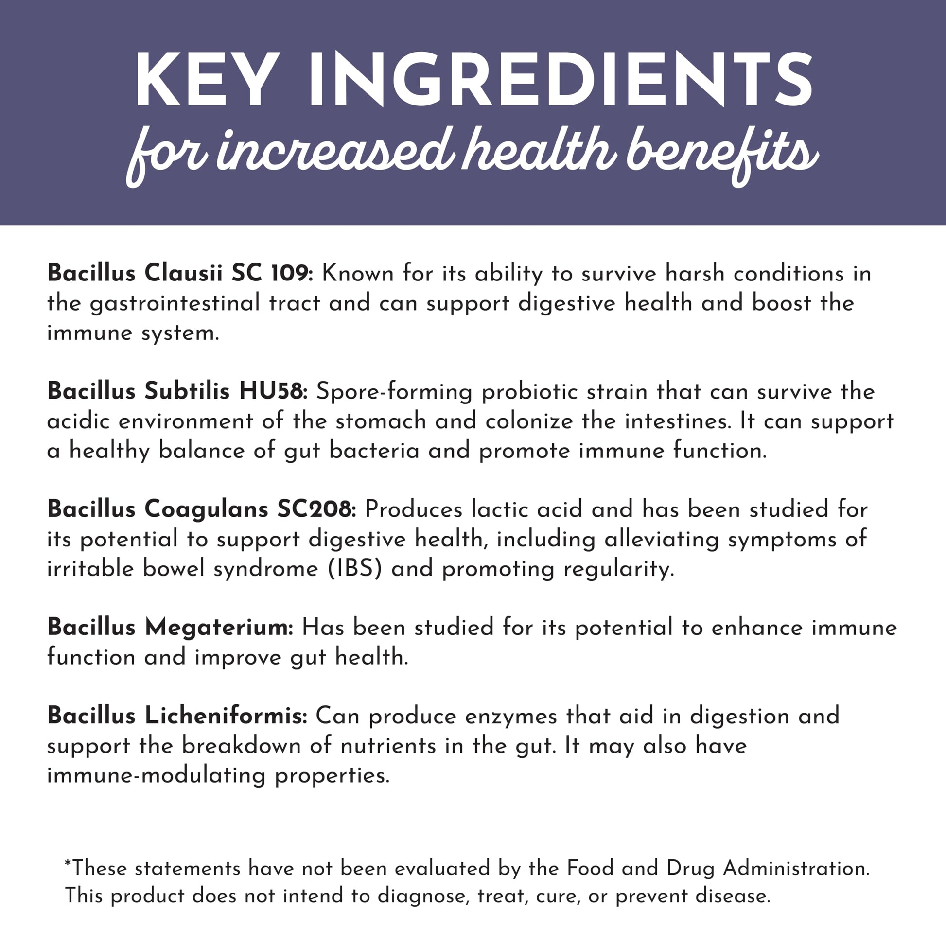 JUST INGREDIENTS Elderberry Lemonade 3-in-1 Probiotic Complex - Prebiotics, Probiotics & Postbiotics - 30 Sticks JUST INGREDIENTS Au supplements
