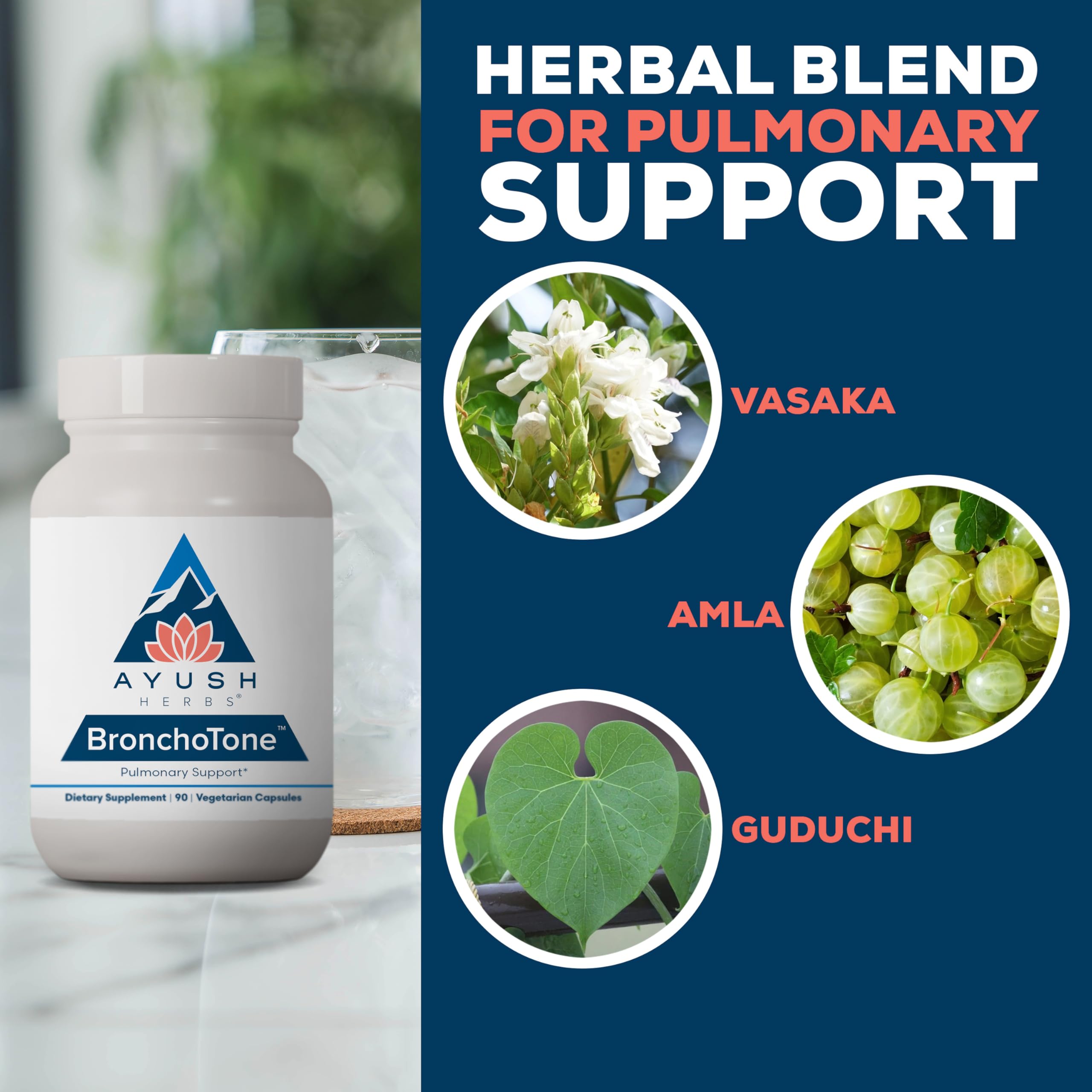 Ayush Herbs Bronchotone - Bronchial Support, Respiratory and Immune-Support Support Supplement for Women & Men, Adults, Pulmonary Care Supplement - 90 Vegetarian Capsules (1 Count) Ayush Herbs Au supplements