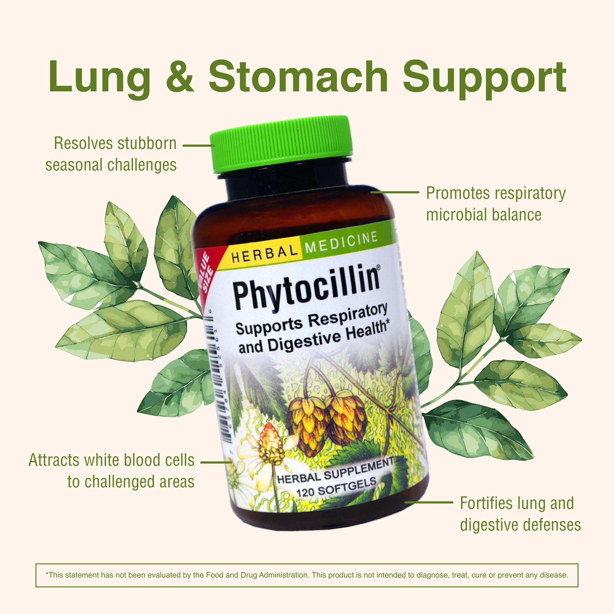 Herbs Etc. Phytocillin - Respiratory & Digestive Health Support Supplement - Herbal Formula to Support Digestion - Support Healthy Breathing - 120 Softgels (120 Servings) Herbs Etc. Au supplements