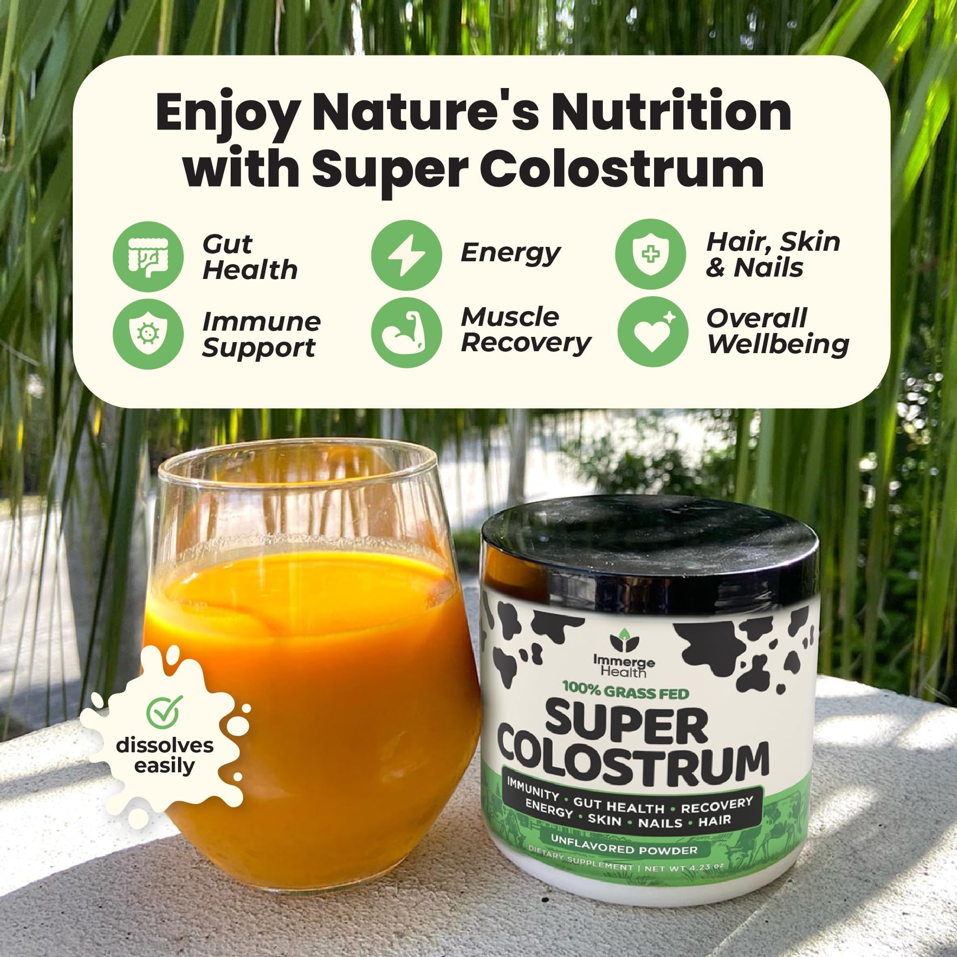 Immerge Health Super Colostrum Powder (60 Servings) – Premium Bovine Colostrum Supplement for Gut Health, Bloating & Immune Support – High IgG, 100% Grass Fed First Milking, Unflavored, Made in USA ImmergeHealth.com Au supplements