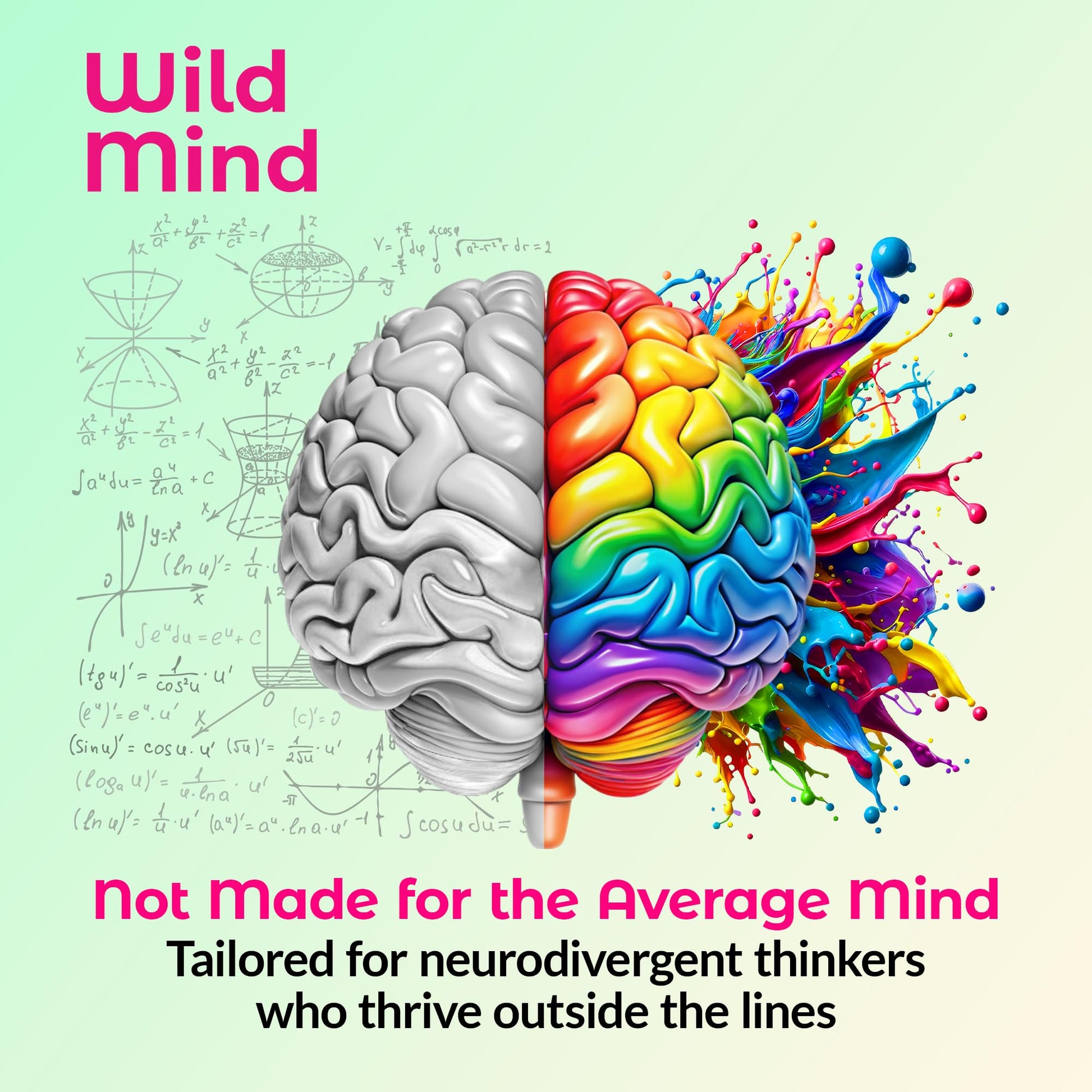 Wild Mind Mental Clarity Balanced Focus & Mood Support Supplement for Mental Wellness– 4-Ingredient Nootropic Brain Support for Calm & Energy – Vegan, 90 Capsules, 30-Day Supply Wild Mind Au supplements
